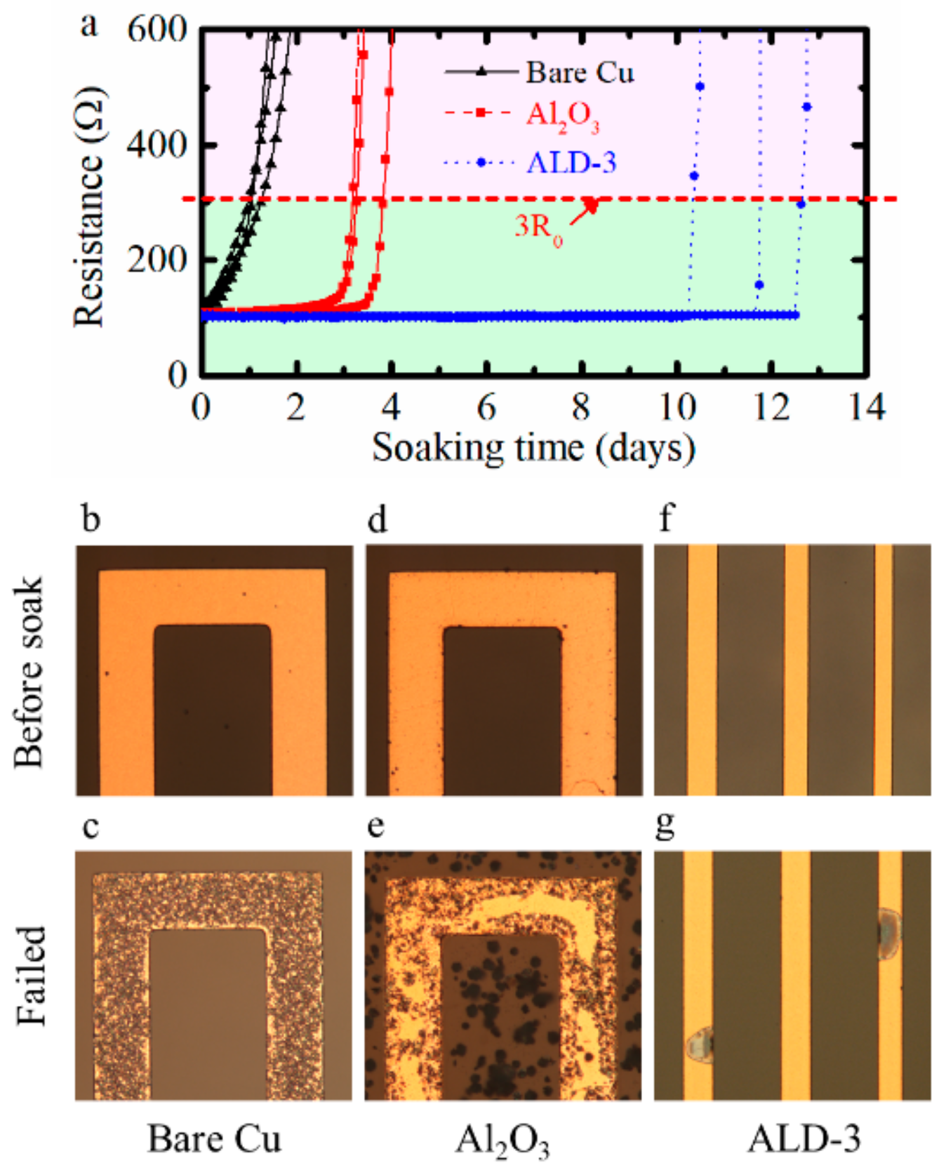 Coatings 10 00019 g005