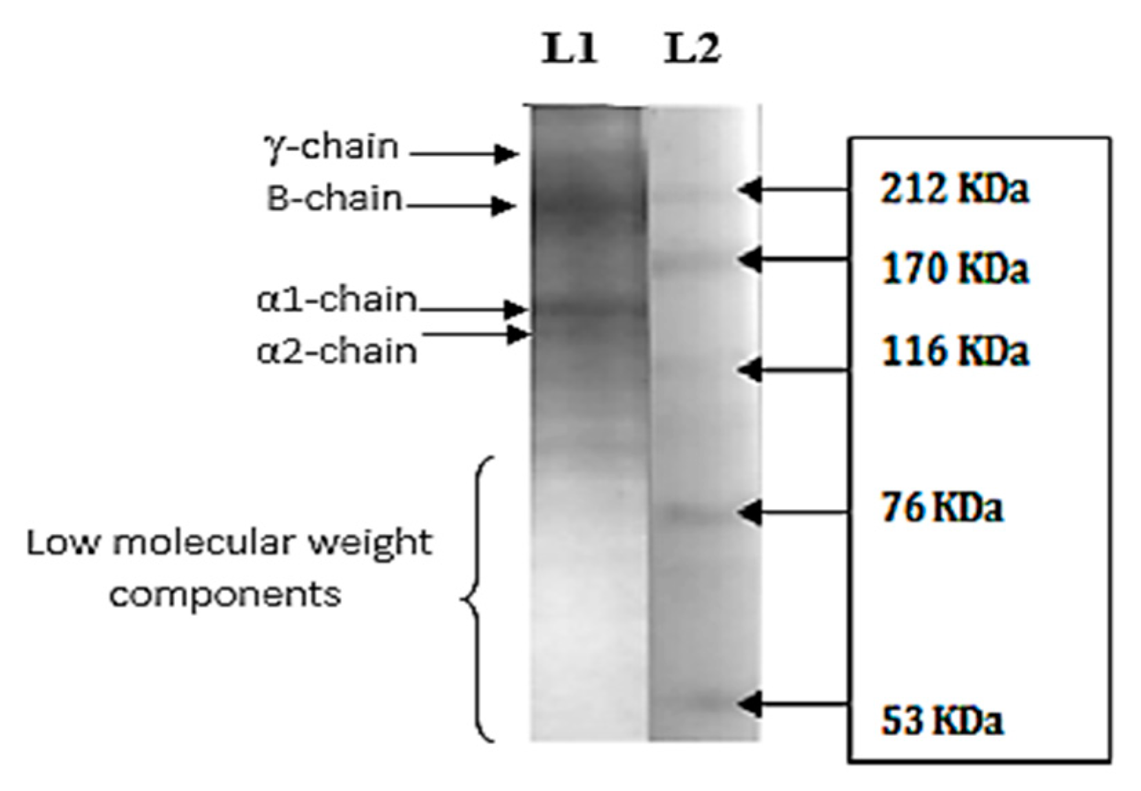 Coatings 10 00026 g001