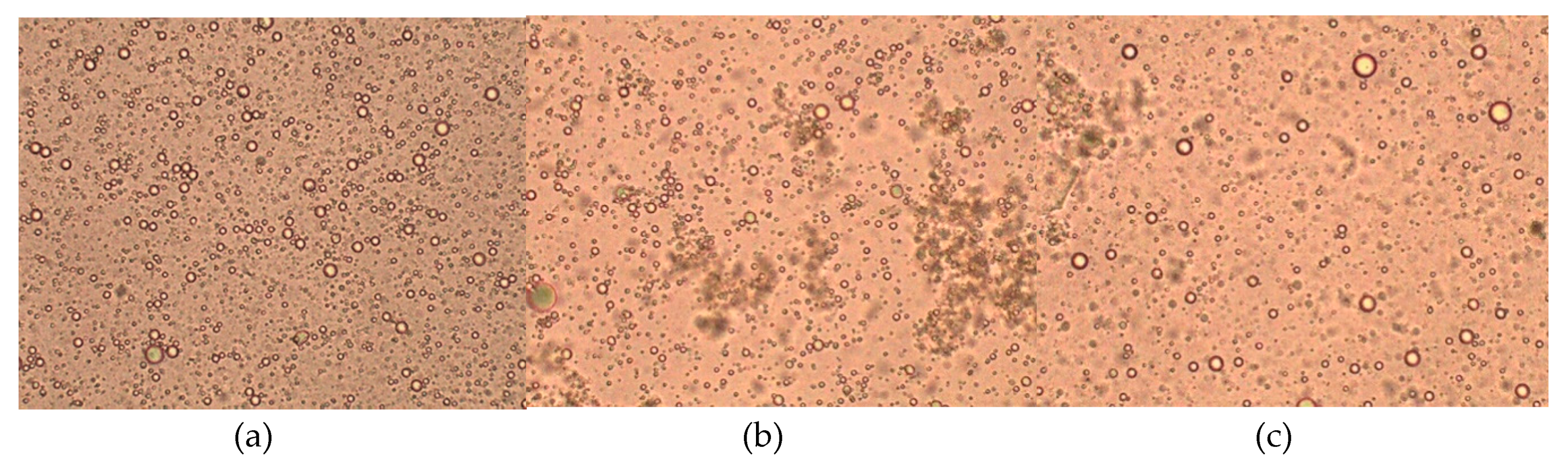 Coatings 10 00026 g002