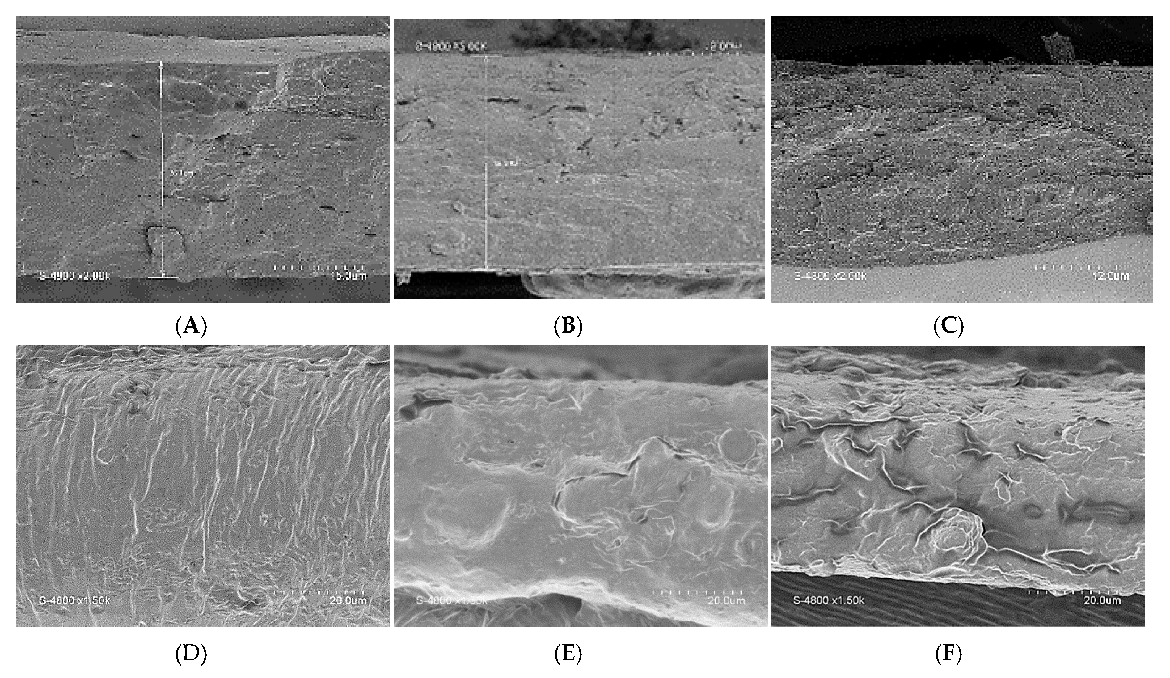 Coatings 10 00026 g004