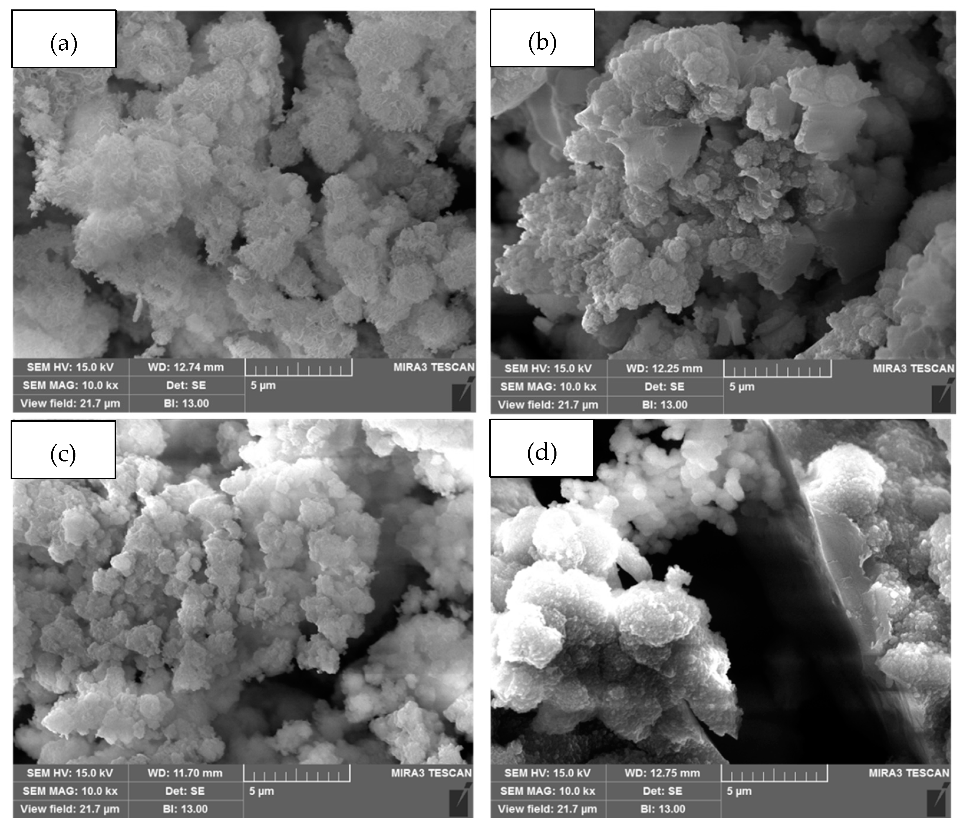Coatings 10 00033 g010