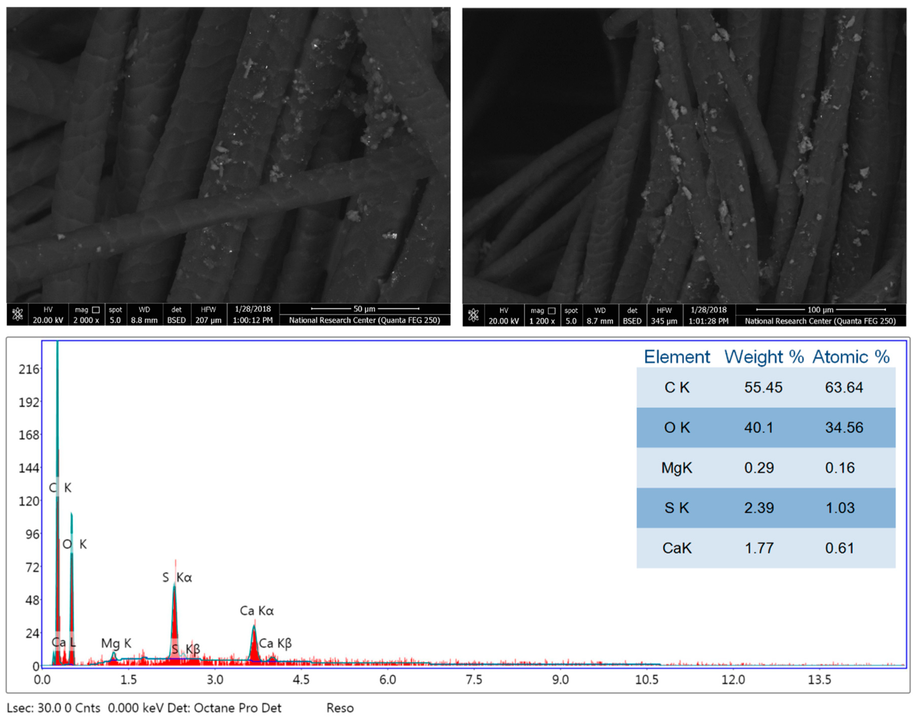 Coatings 10 00058 g004