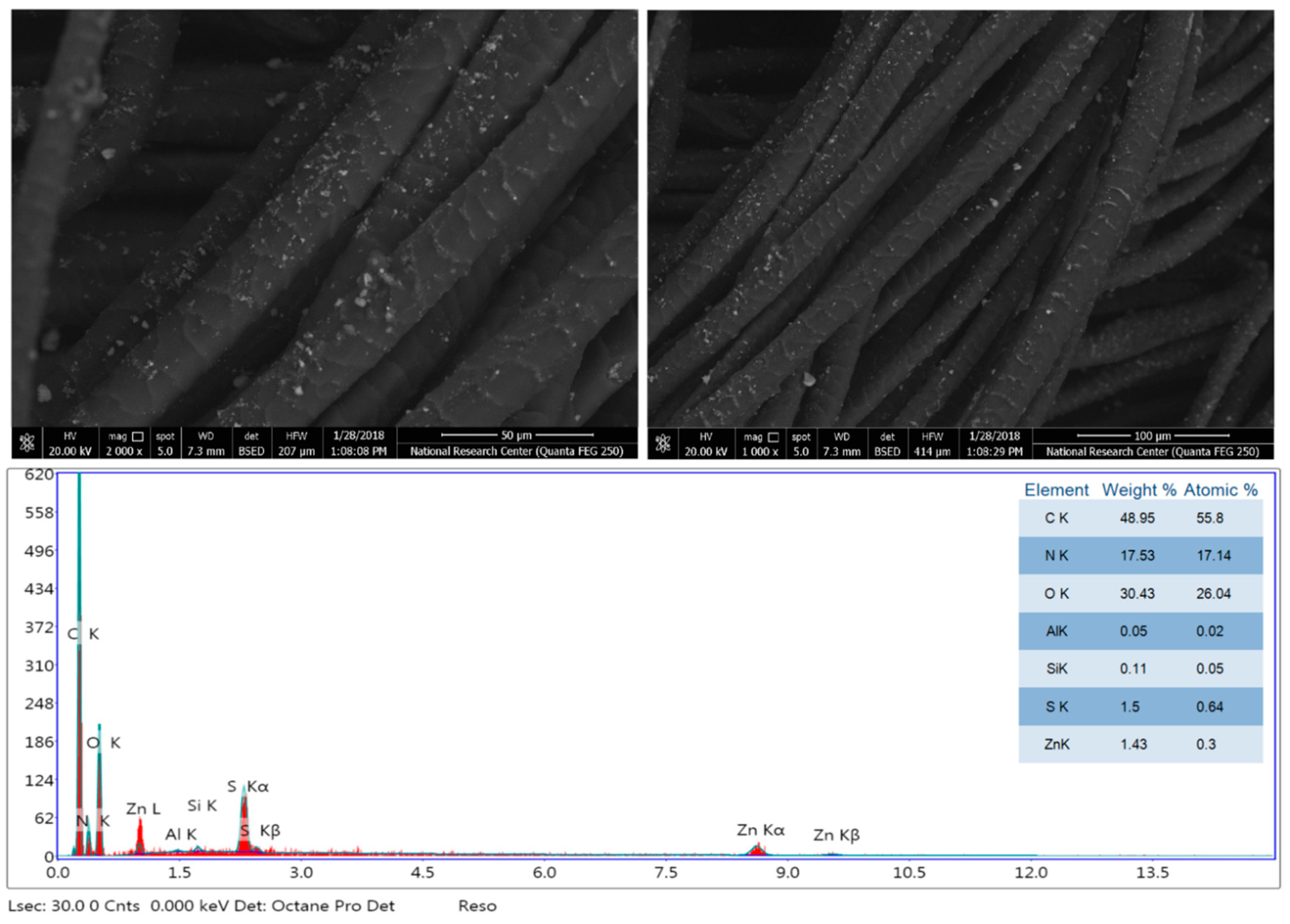 Coatings 10 00058 g005