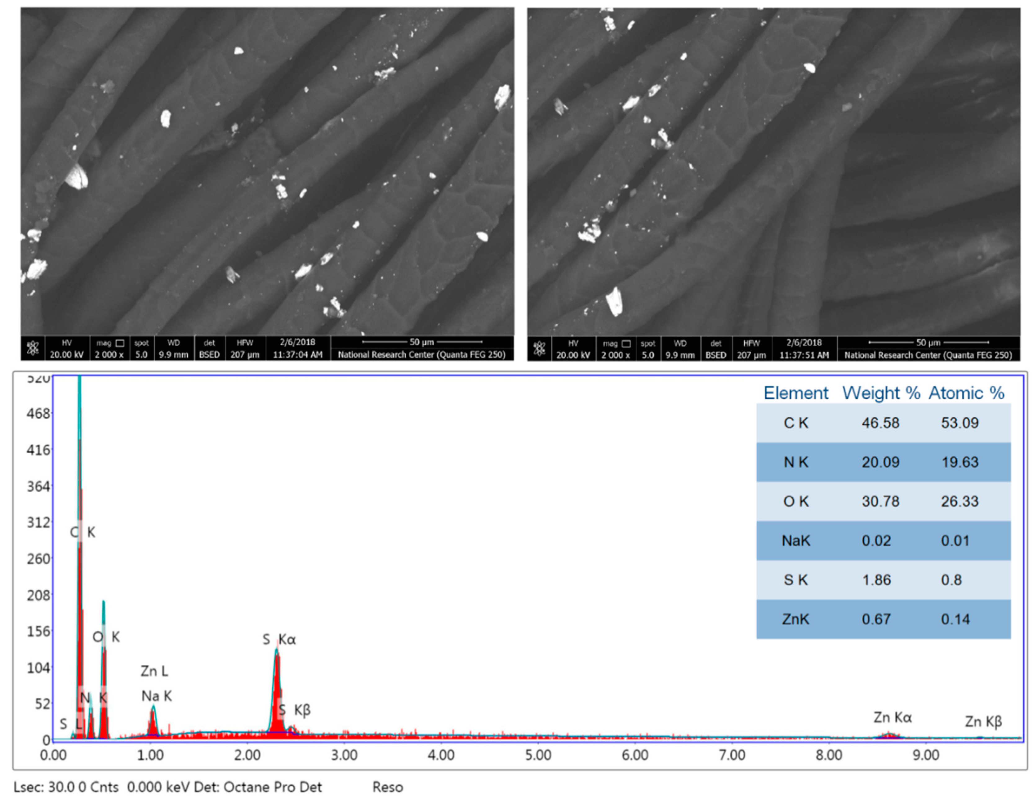 Coatings 10 00058 g006