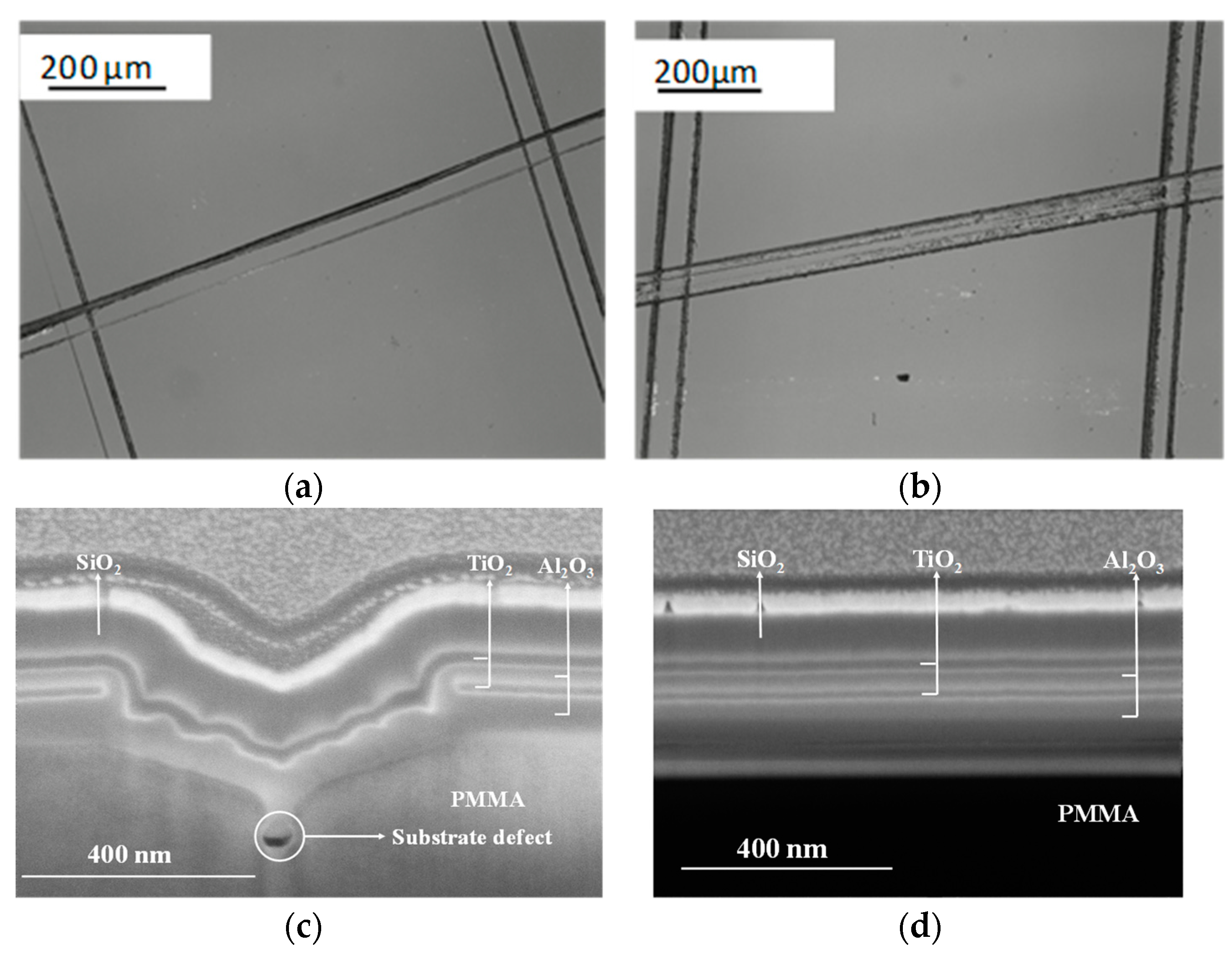 Coatings 10 00064 g007