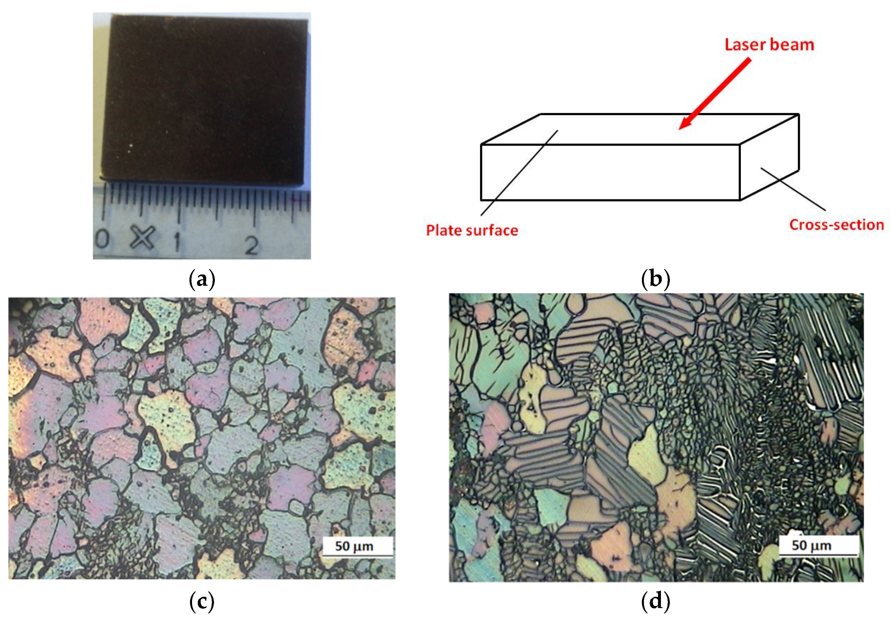 Coatings 10 00067 g001