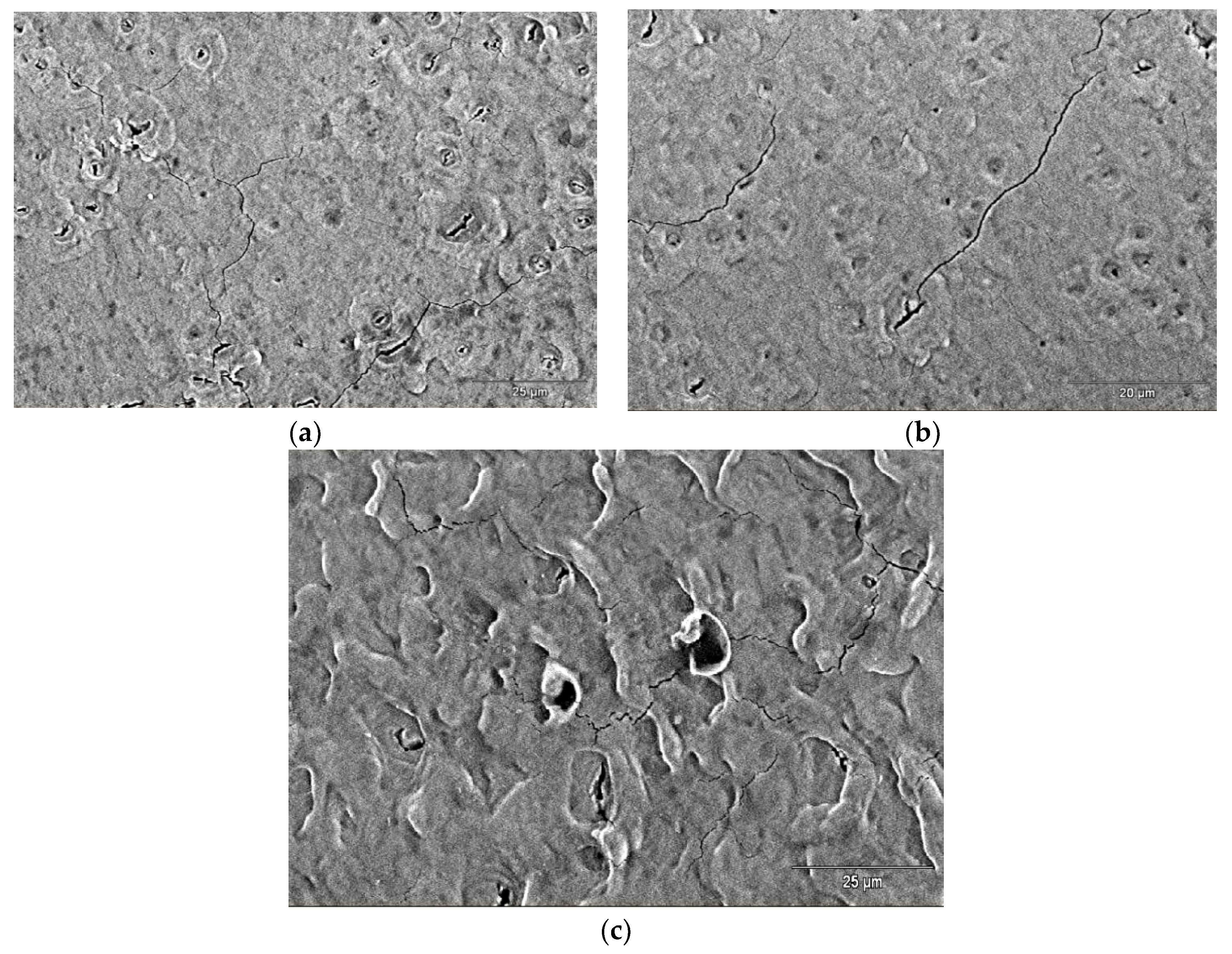 Coatings 10 00067 g009