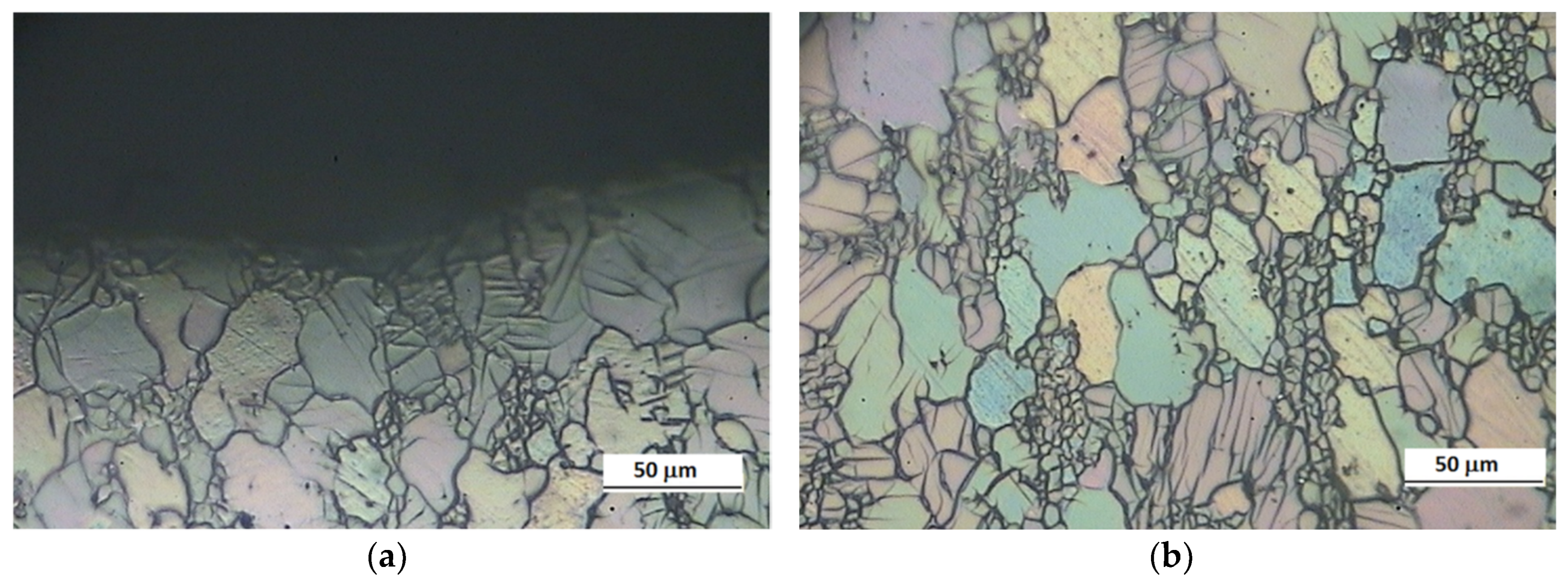 Coatings 10 00067 g010