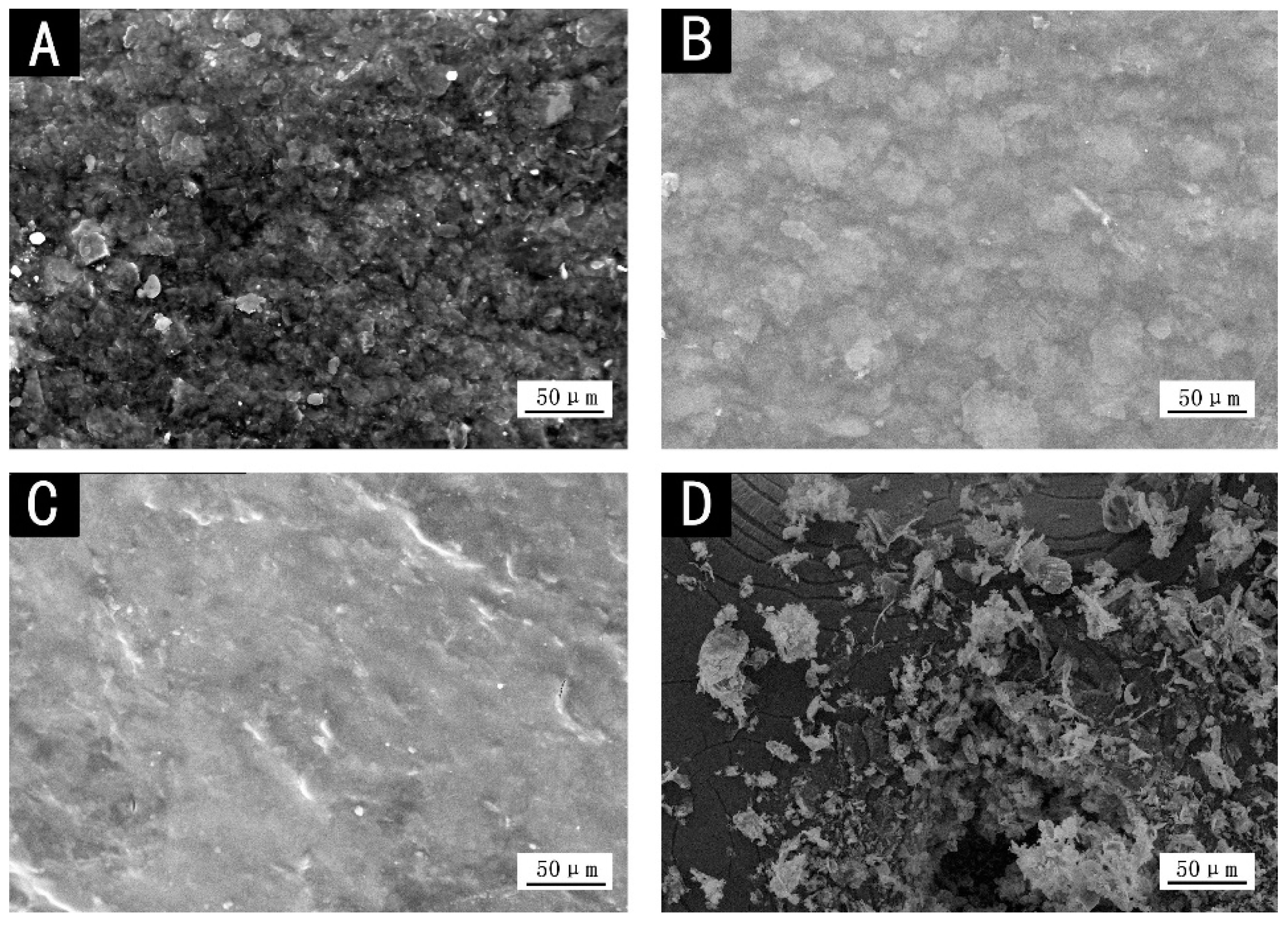 Coatings 10 00070 g003 Coatings 10 00070 g003