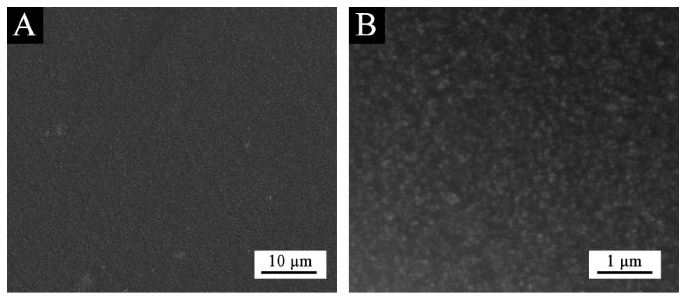 Coatings 10 00070 g006 Coatings 10 00070 g006