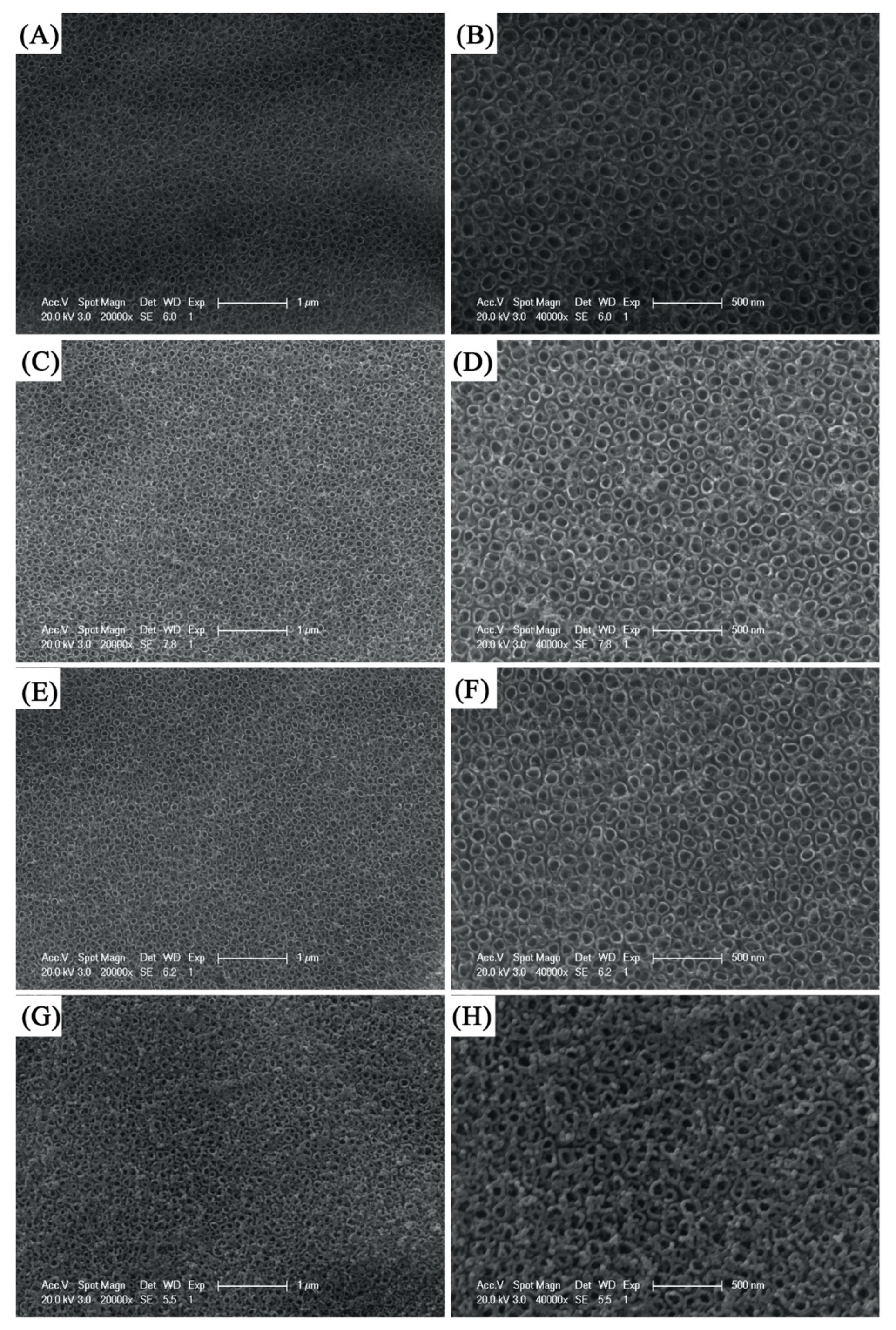 Coatings 10 00075 g002 Coatings 10 00075 g002