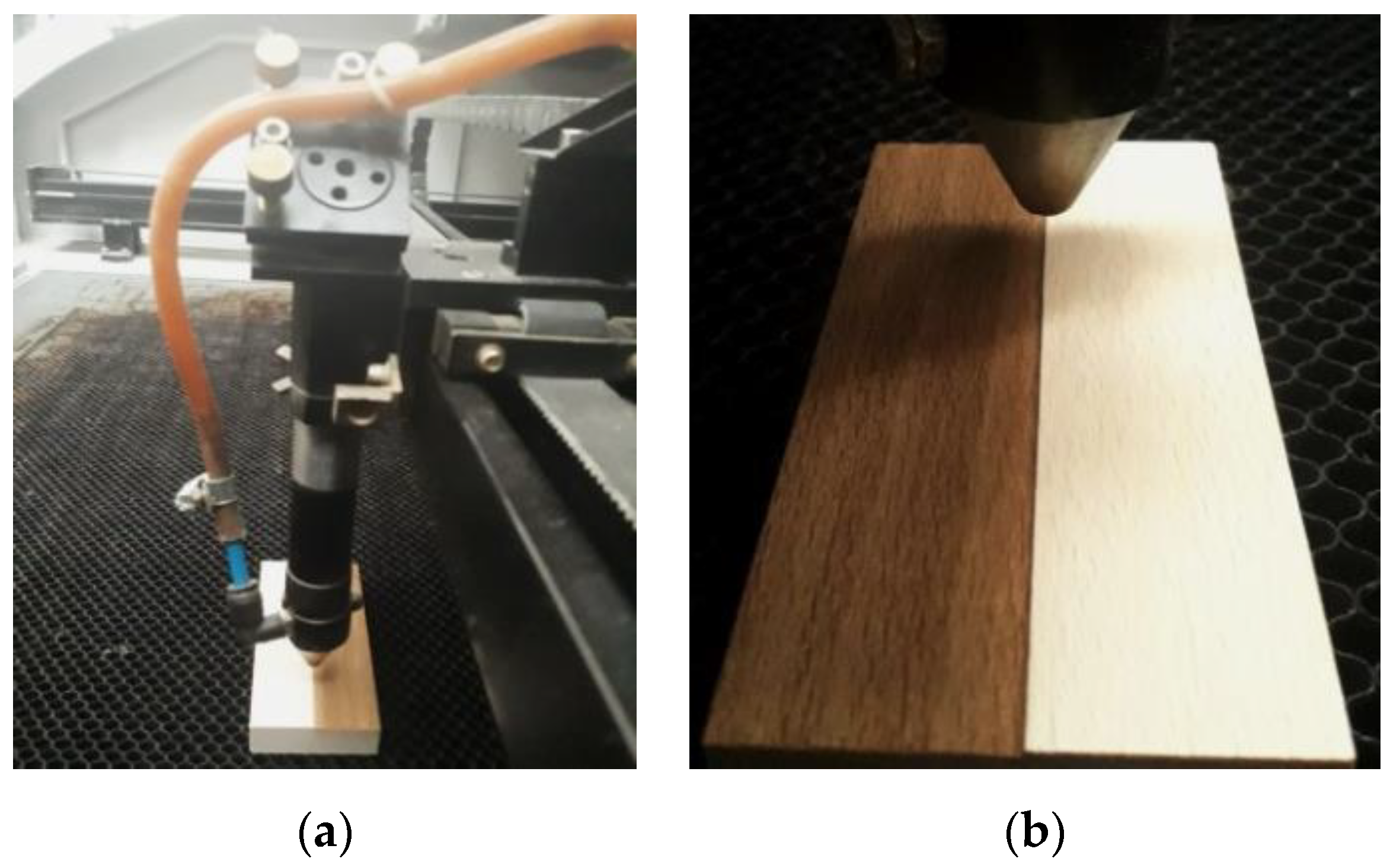 Coatings 10 00077 g001