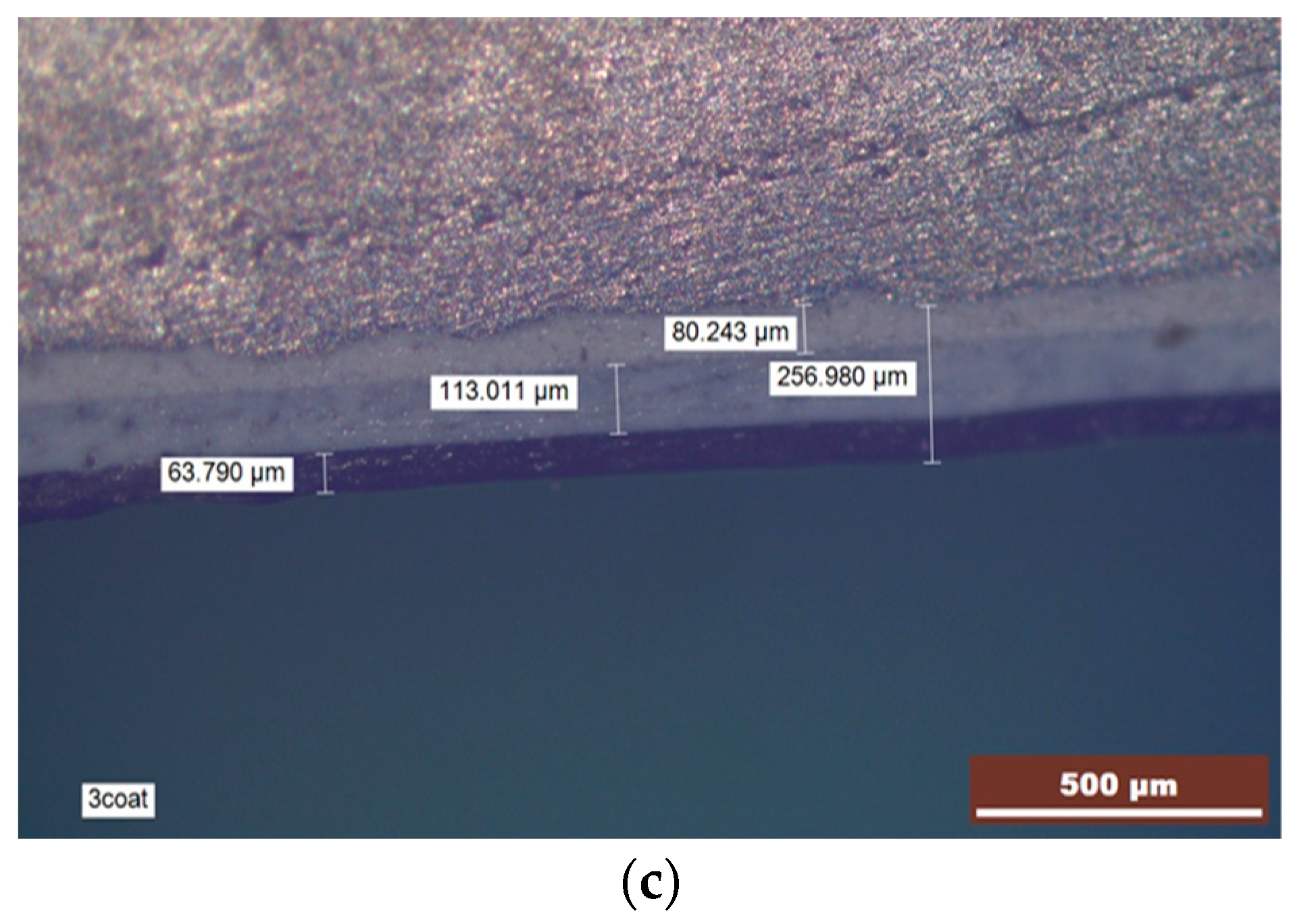 Coatings 10 00085 g006b
