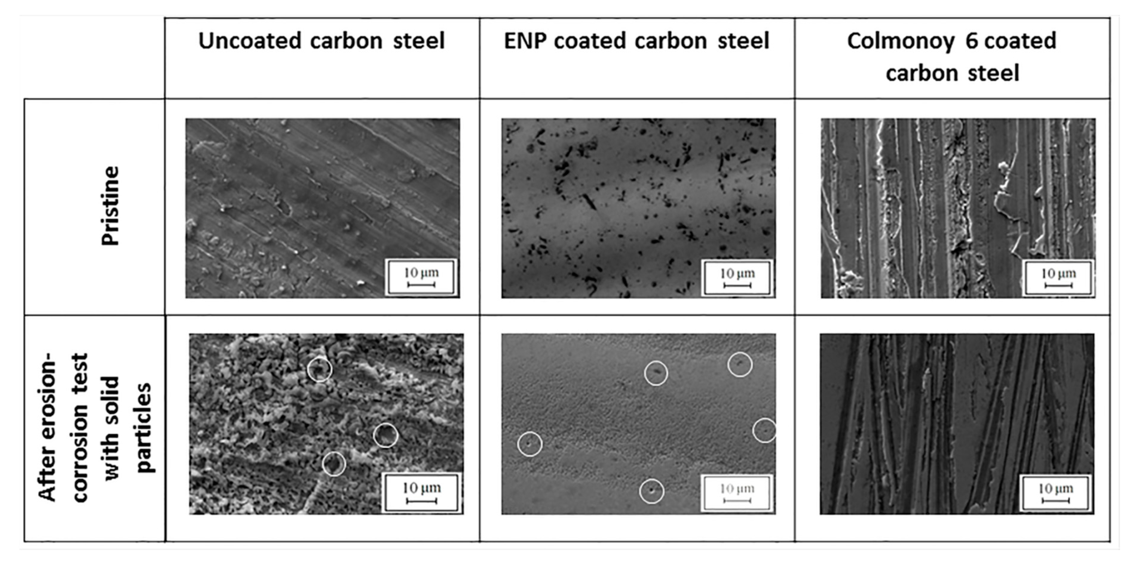Coatings 10 00092 g005