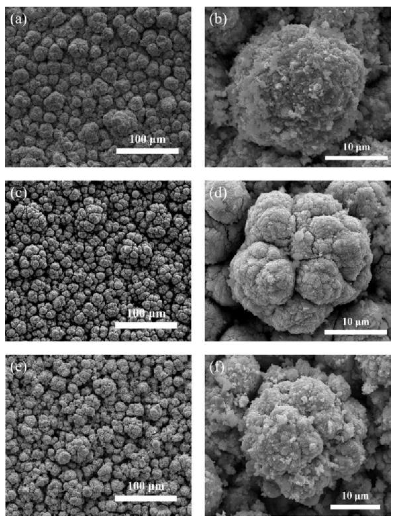Coatings 10 00093 g003