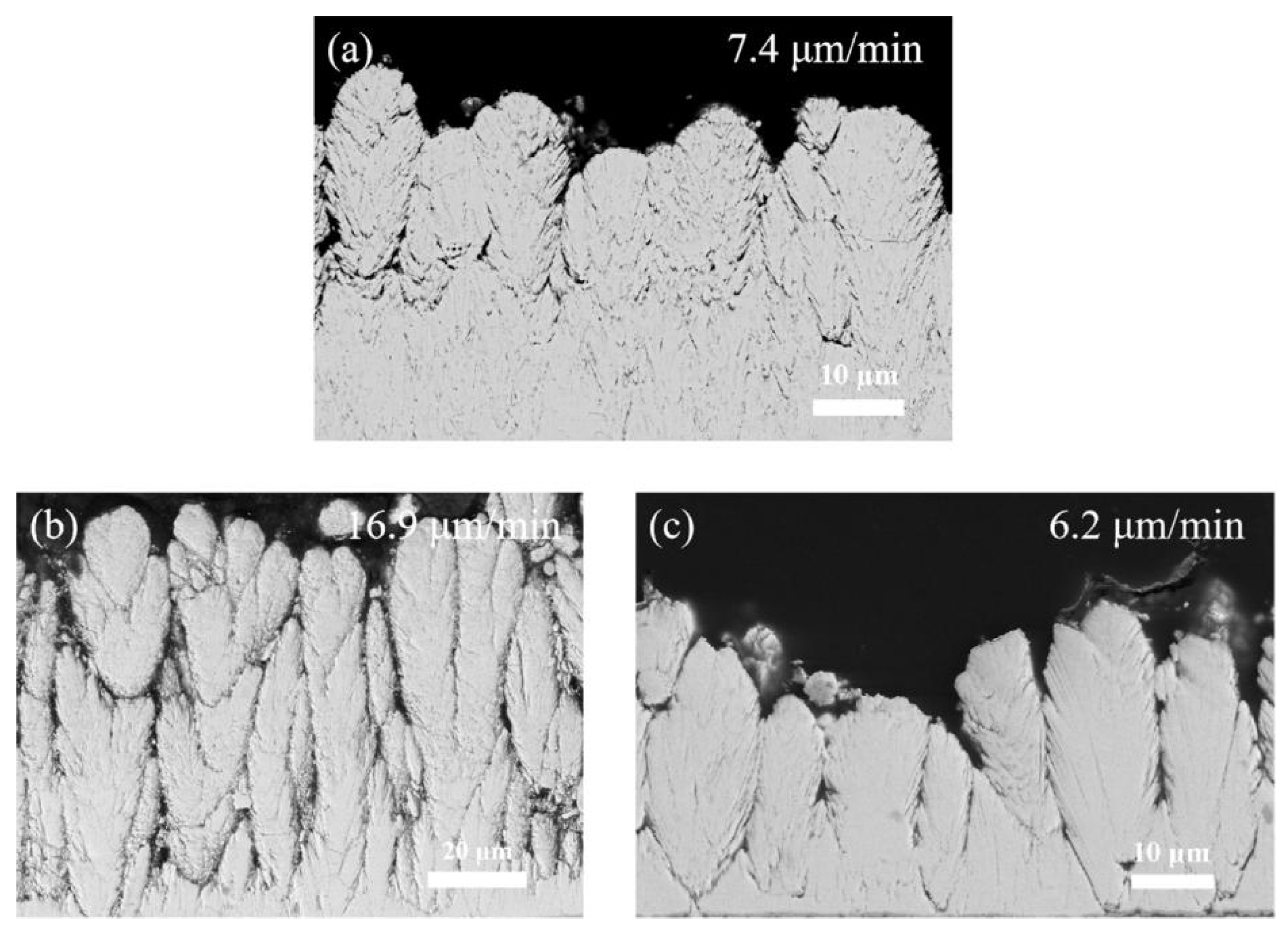 Coatings 10 00093 g004