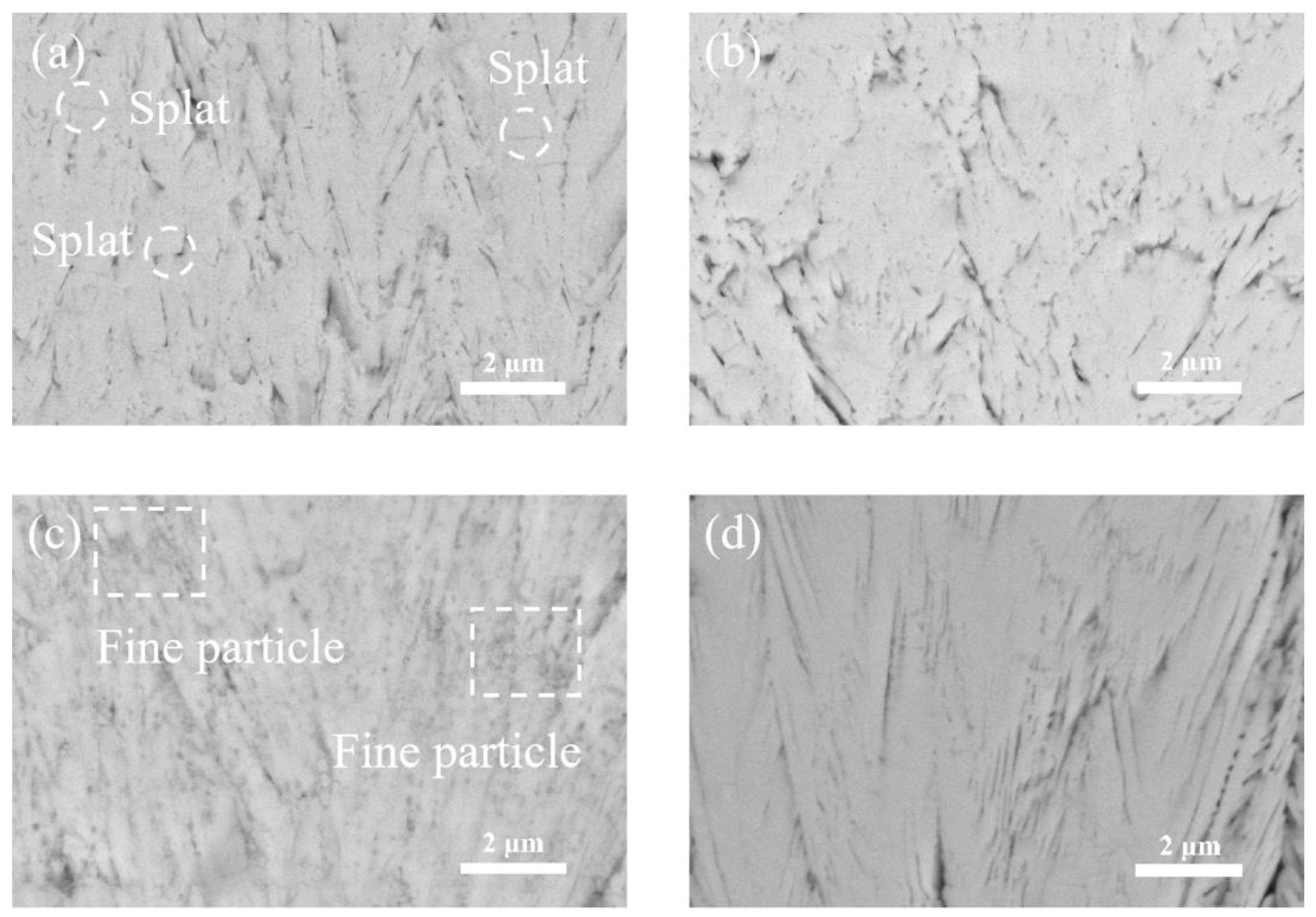 Coatings 10 00093 g005