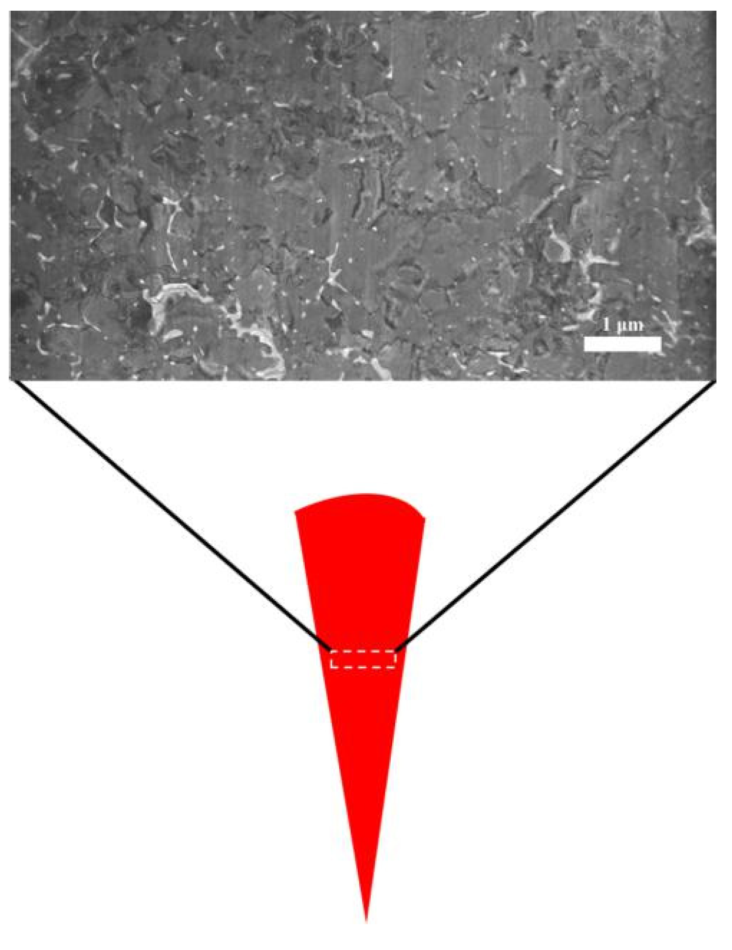 Coatings 10 00093 g007
