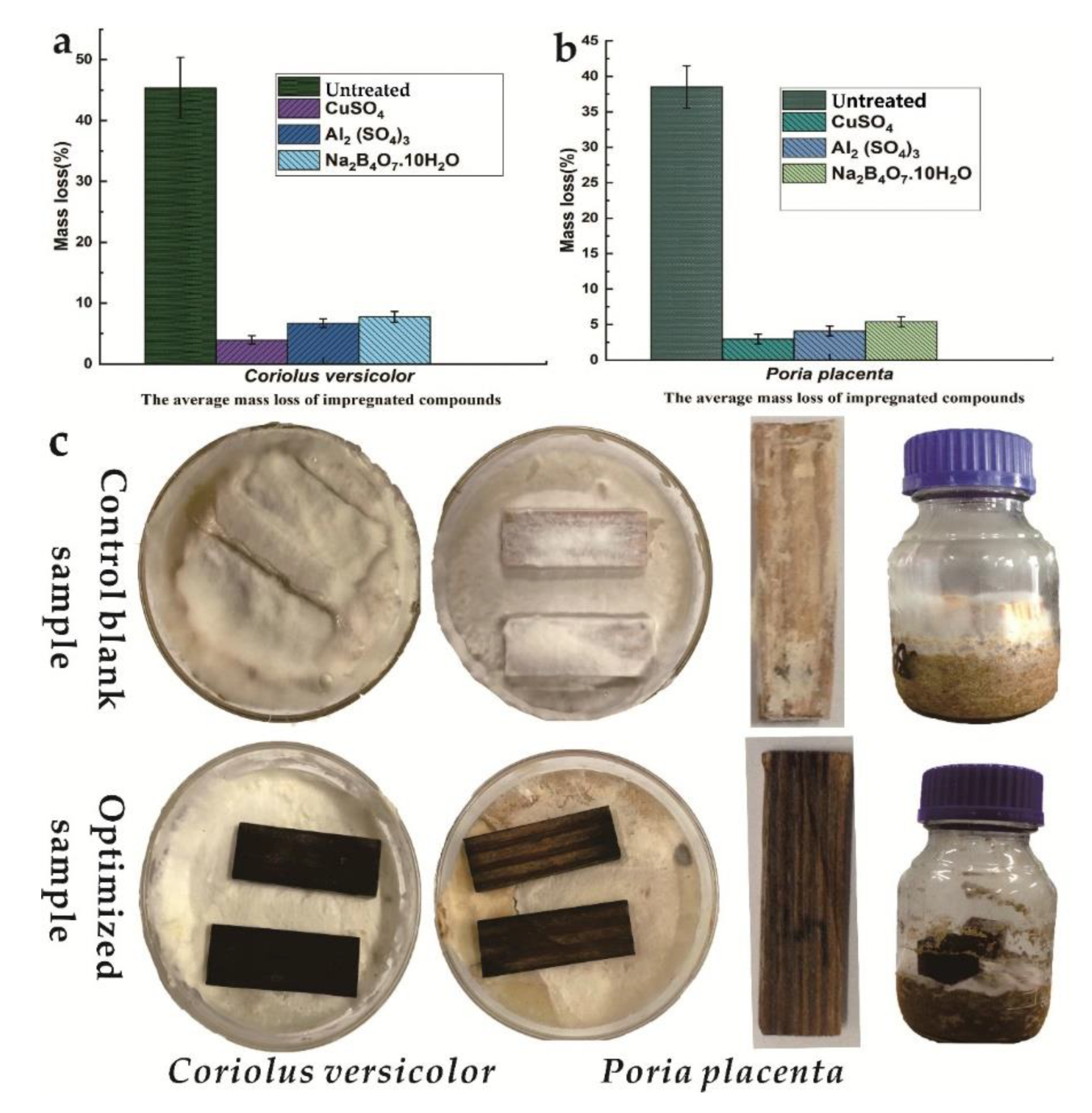 Coatings 10 00108 g001 Coatings 10 00108 g001