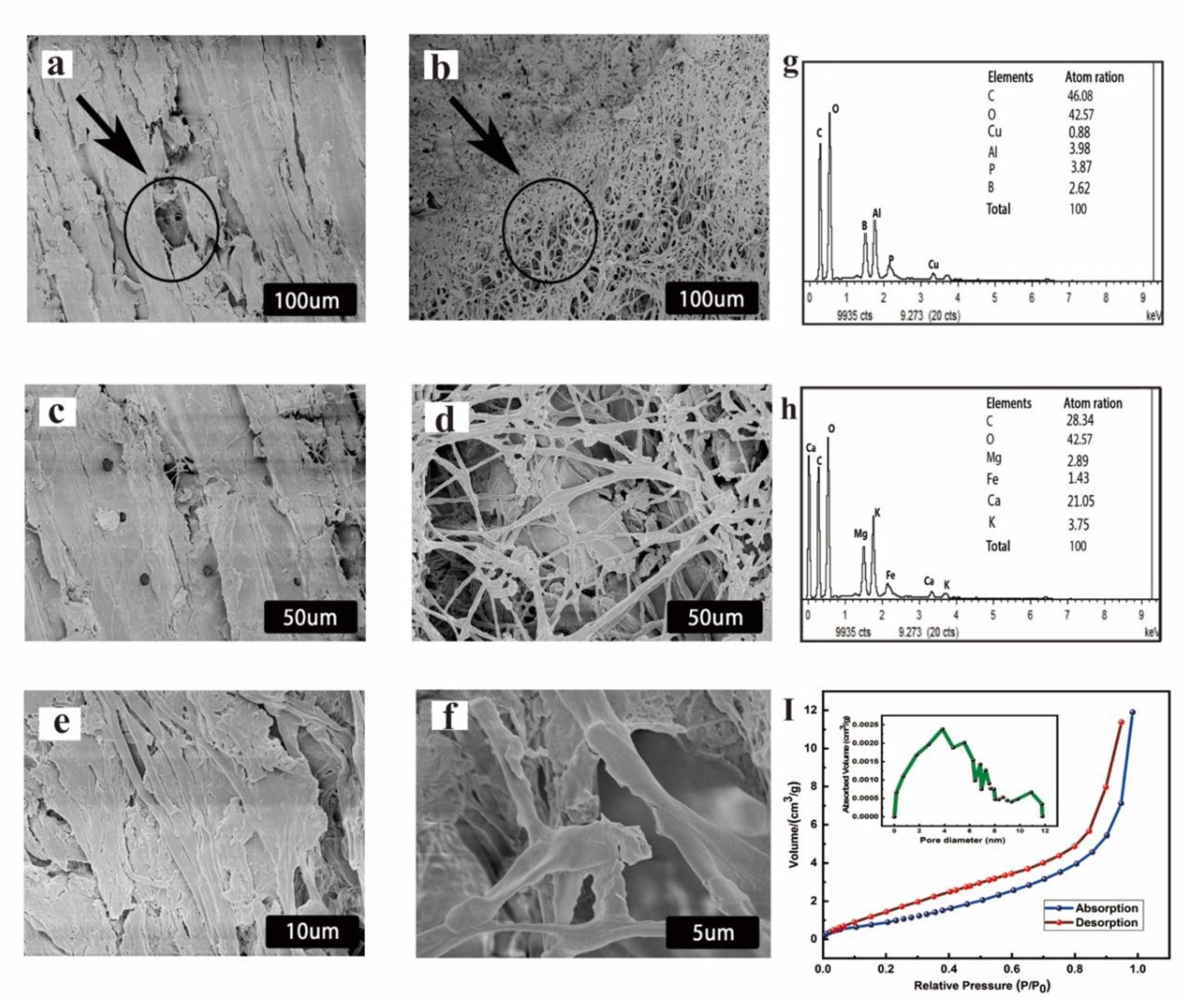Coatings 10 00108 g003 Coatings 10 00108 g003