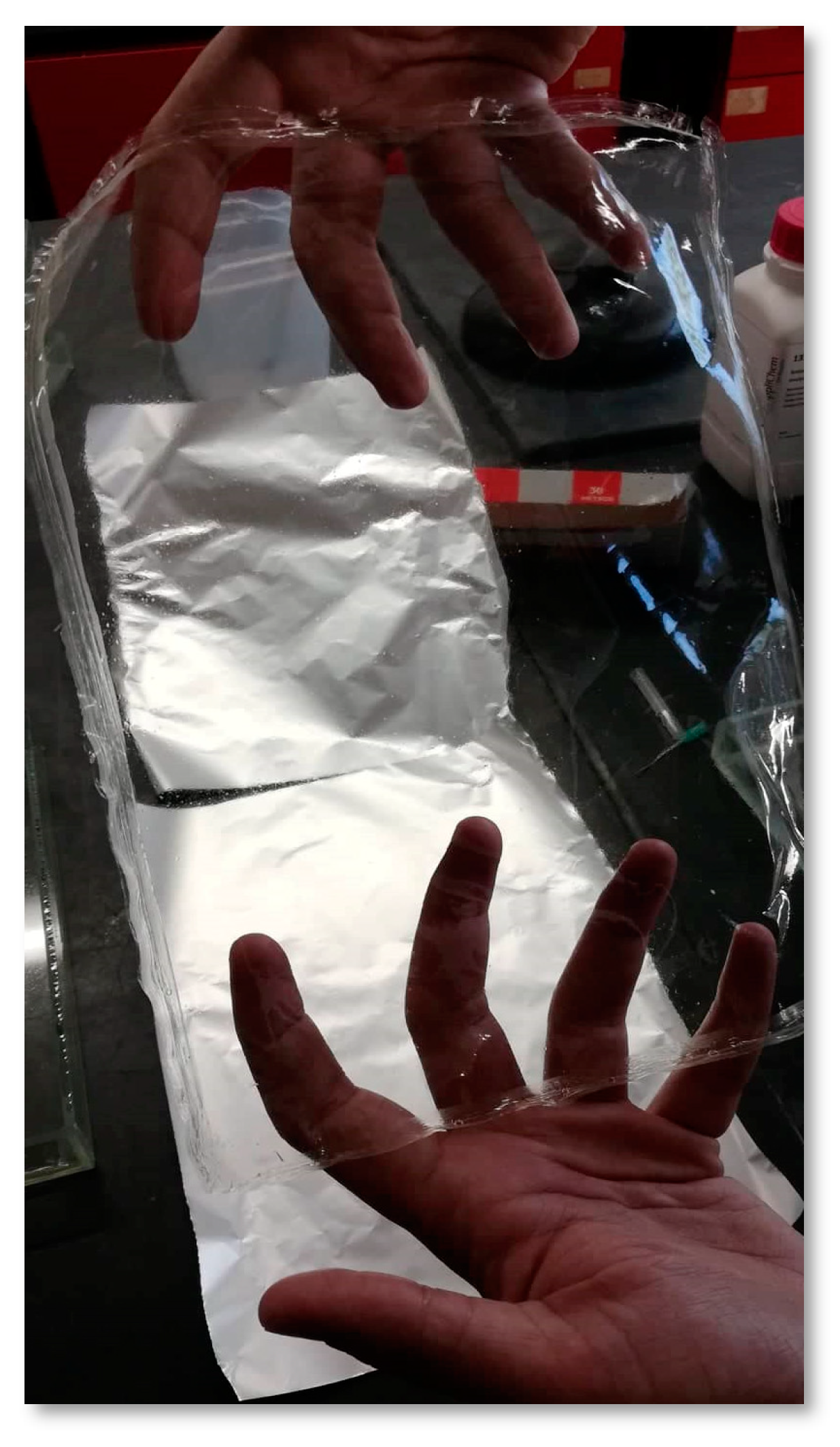 Coatings 10 00110 g001