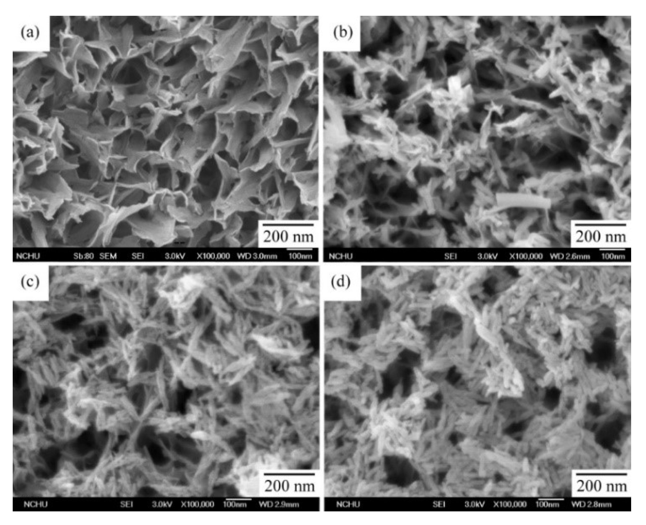 Coatings 10 00112 g001