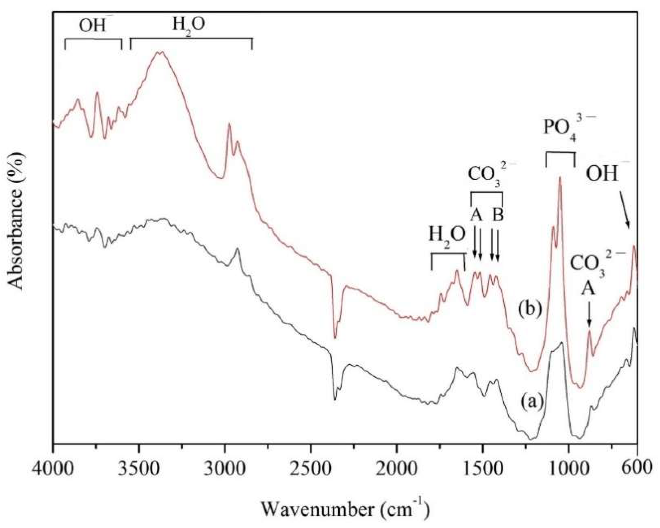 Coatings 10 00112 g004