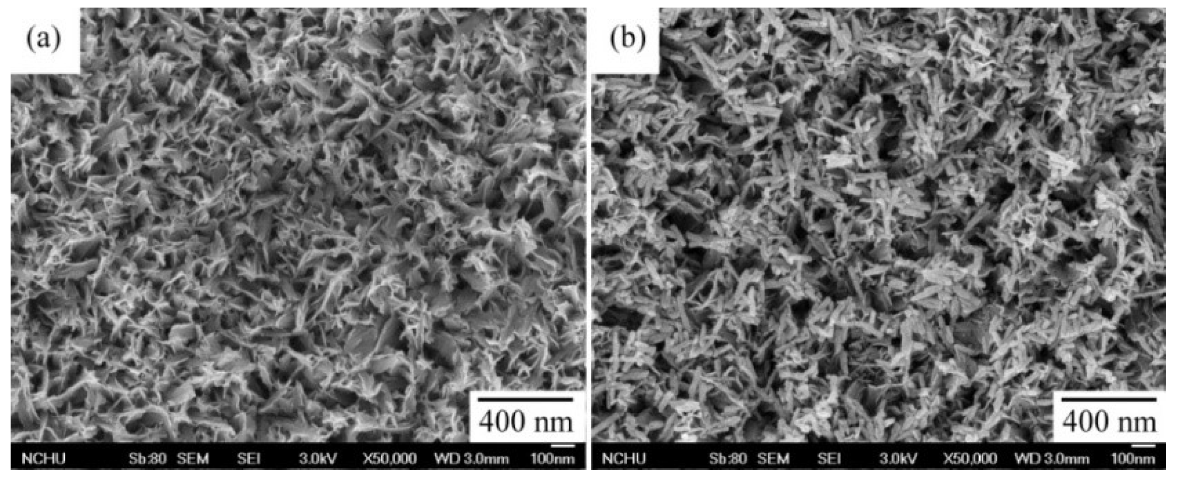 Coatings 10 00112 g005