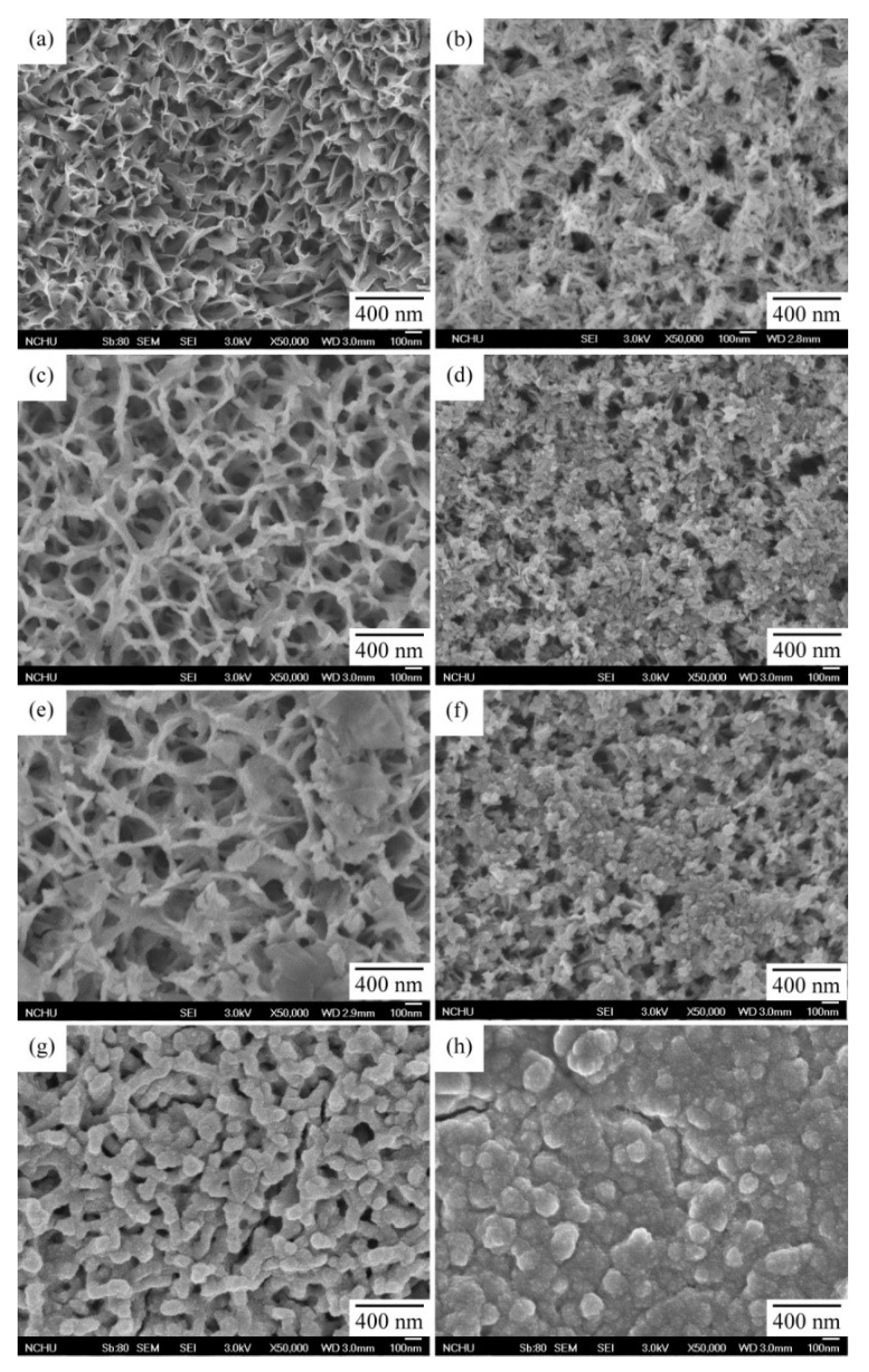 Coatings 10 00112 g006