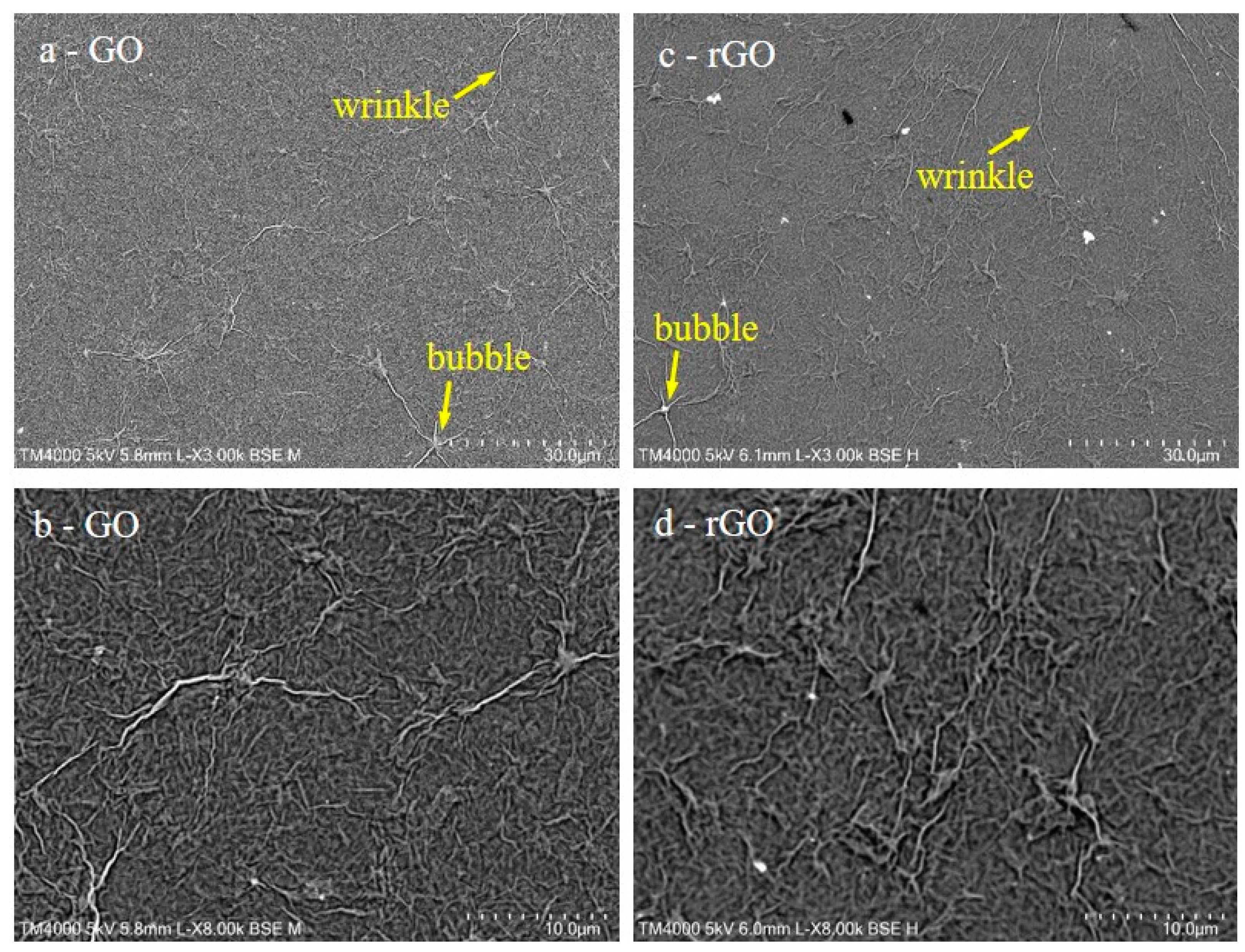 Coatings 10 00113 g004