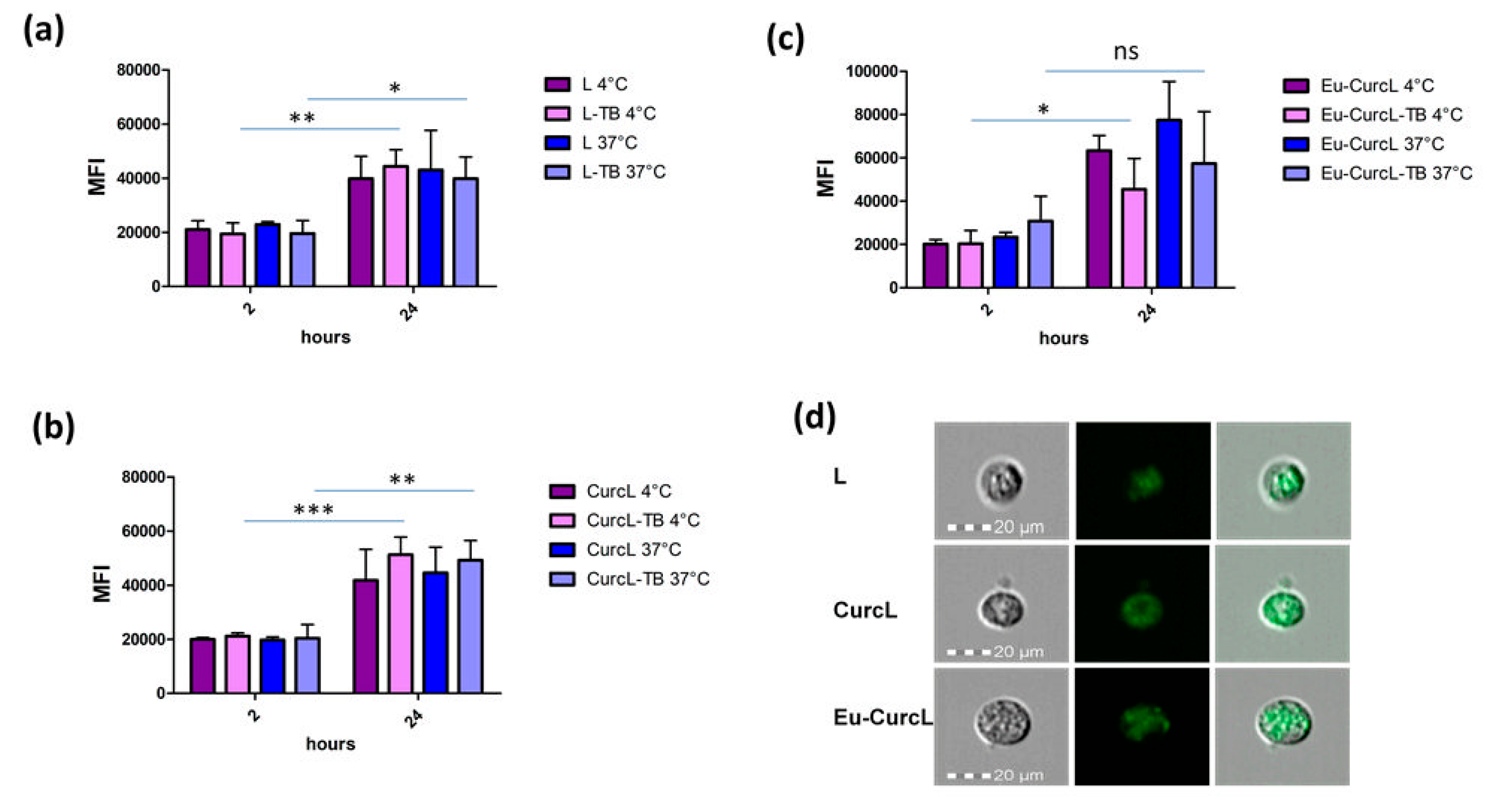 Coatings 10 00114 g004 Coatings 10 00114 g004