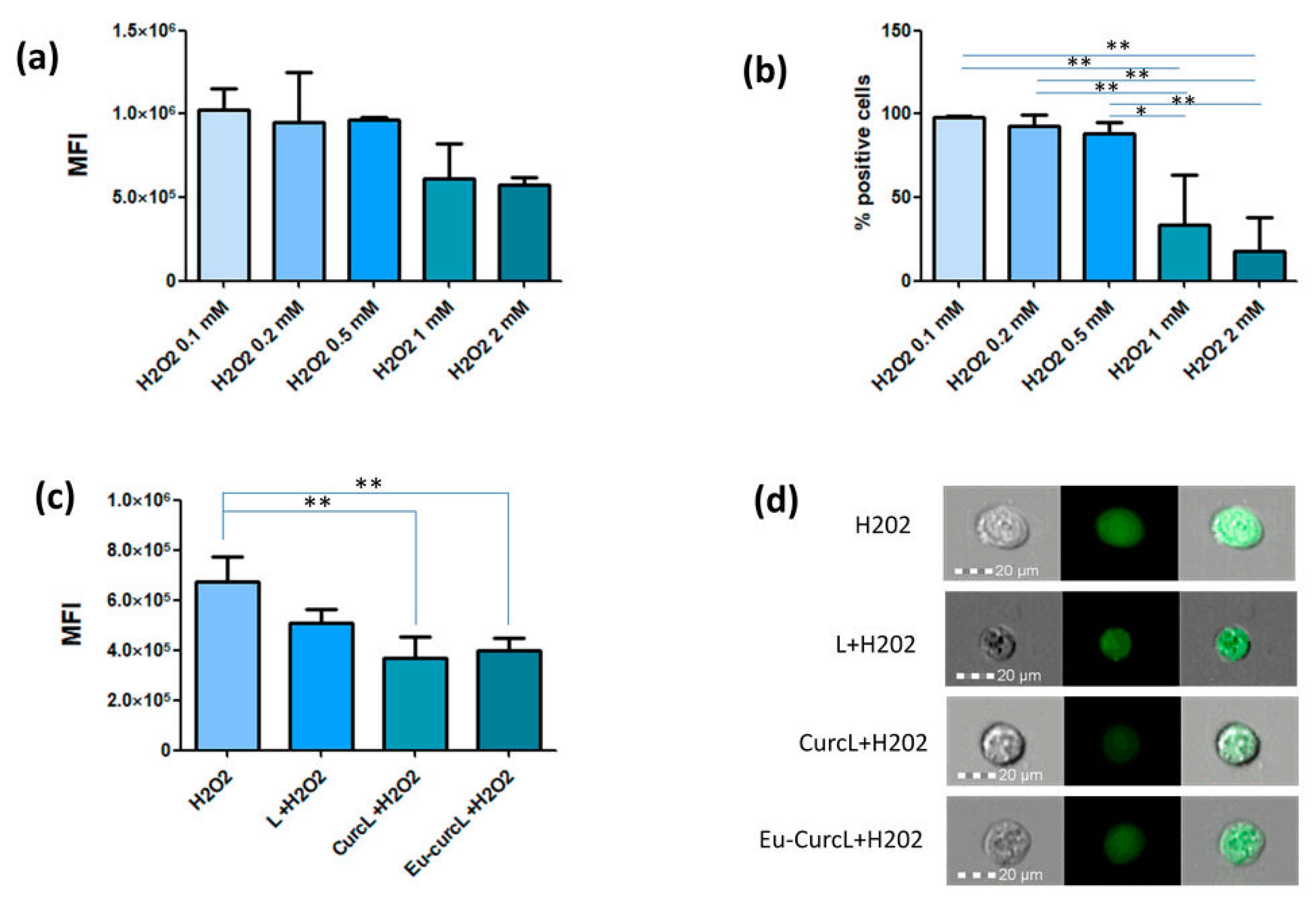 Coatings 10 00114 g005 Coatings 10 00114 g005