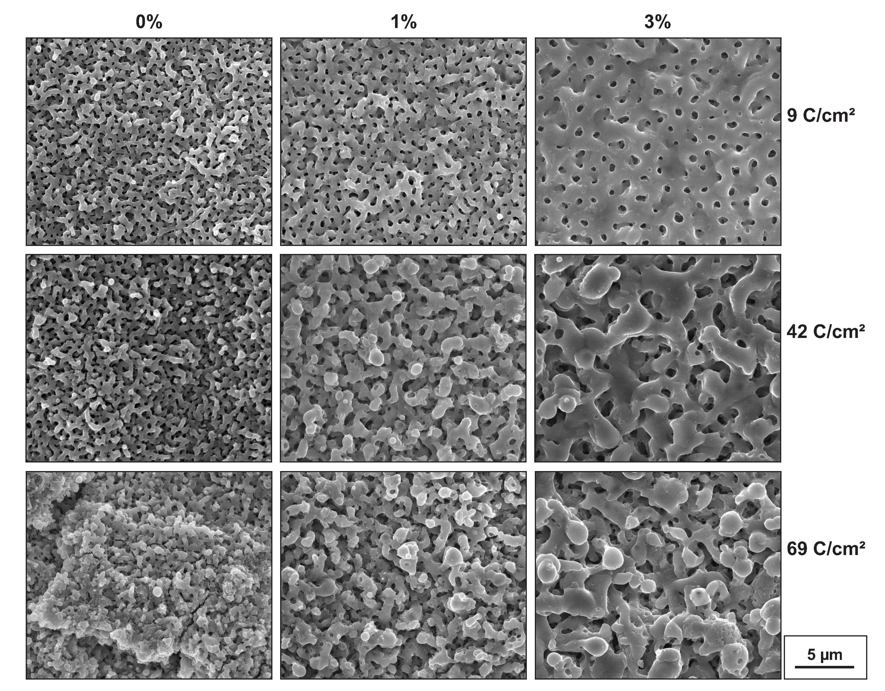 Coatings 10 00116 g003