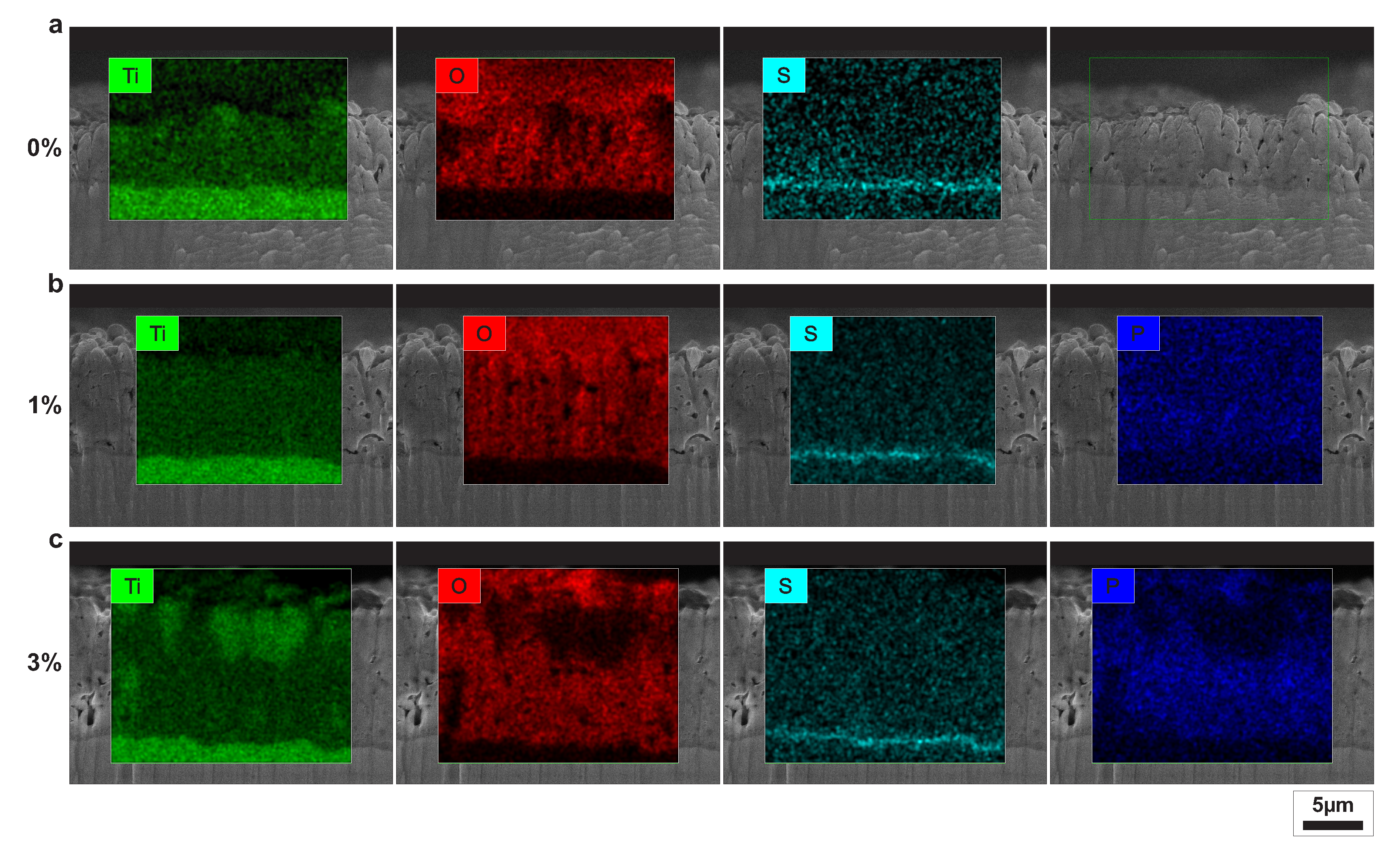 Coatings 10 00116 g005