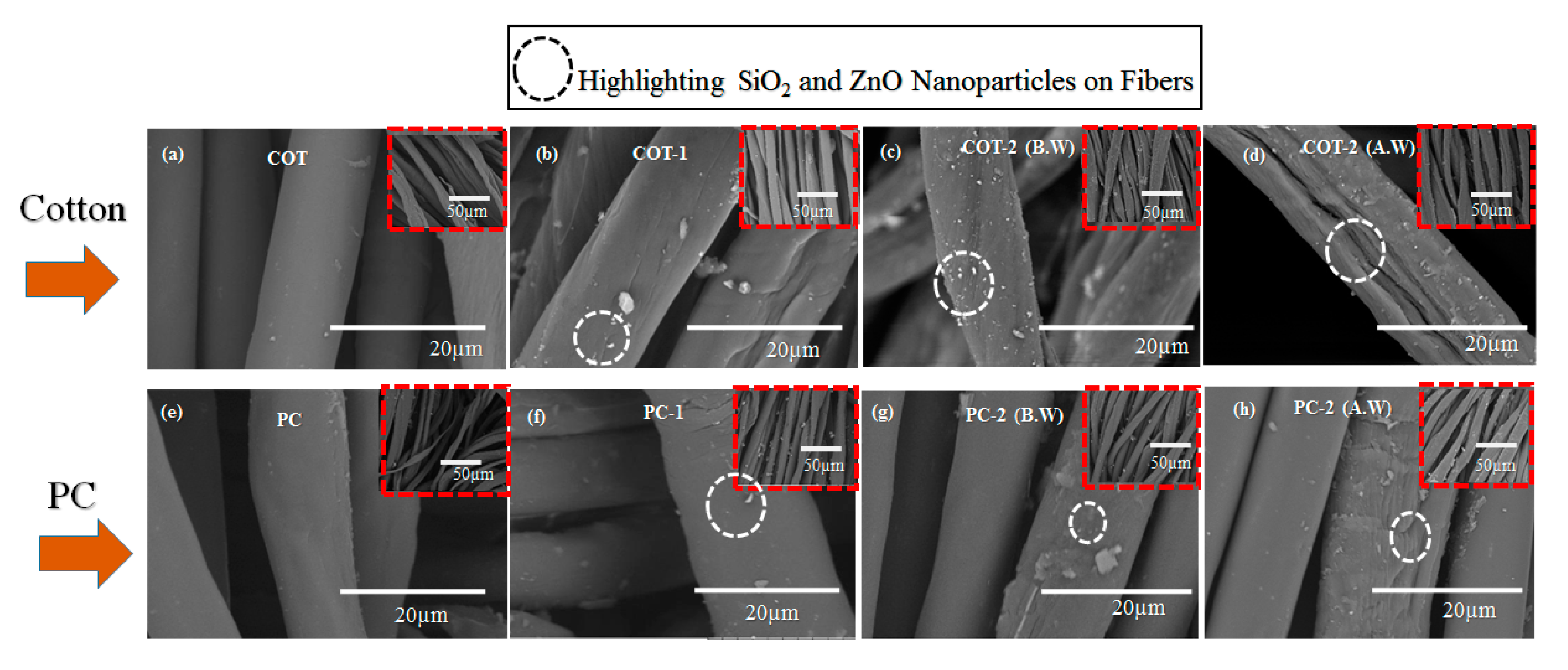 Coatings 10 00124 g003