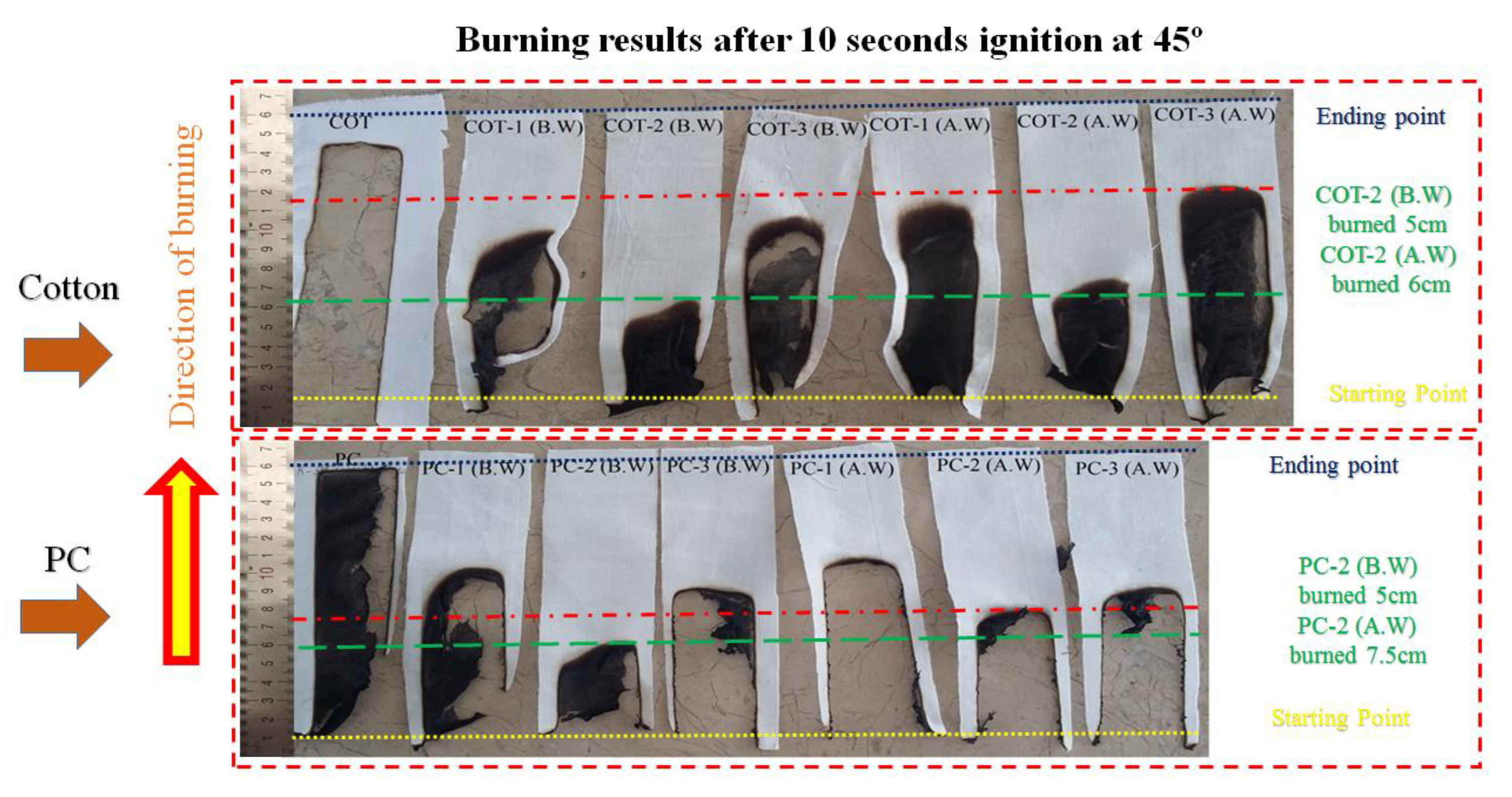 Coatings 10 00124 g005