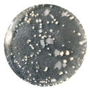 Coatings 10 00126 i006