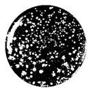 Coatings 10 00126 i019