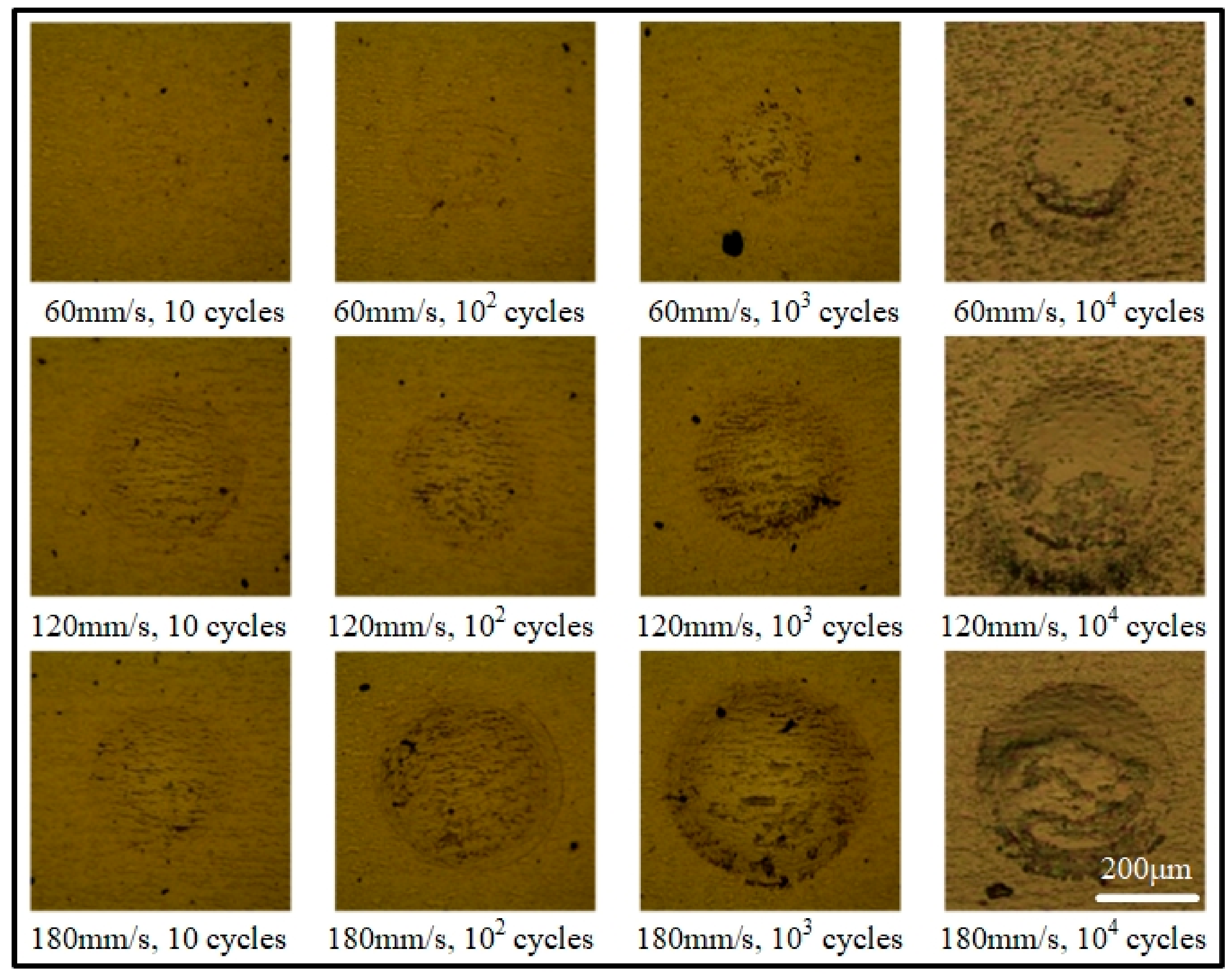 Coatings 10 00132 g008 Coatings 10 00132 g008