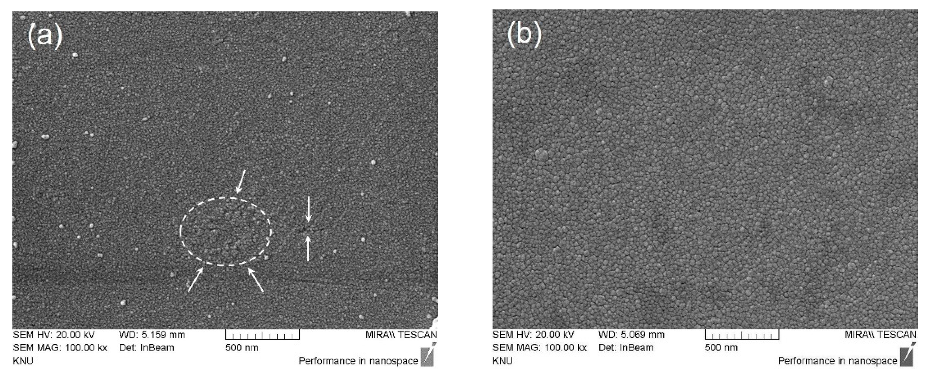 Coatings 10 00134 g003