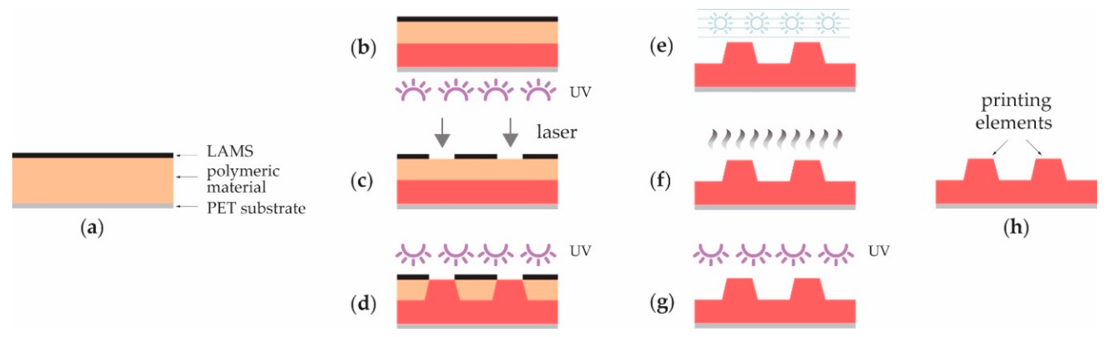 Coatings 10 00136 g001