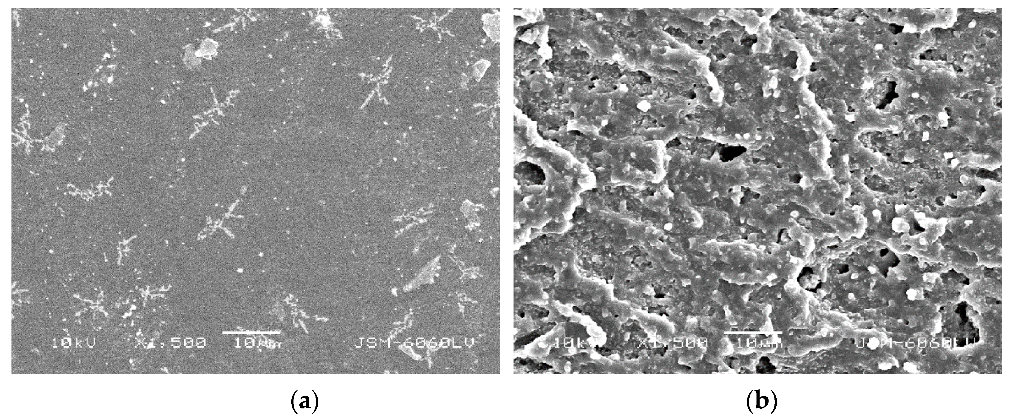 Coatings 10 00136 g011