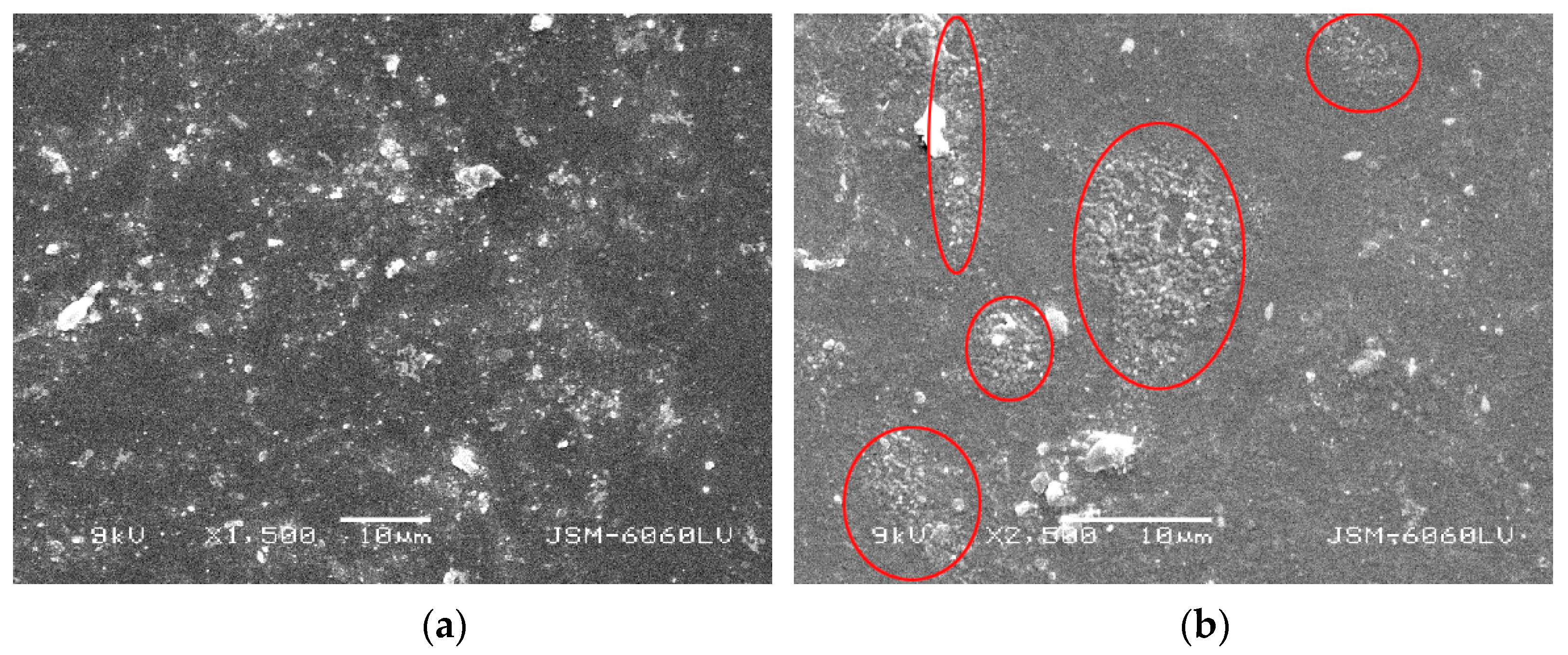 Coatings 10 00136 g012