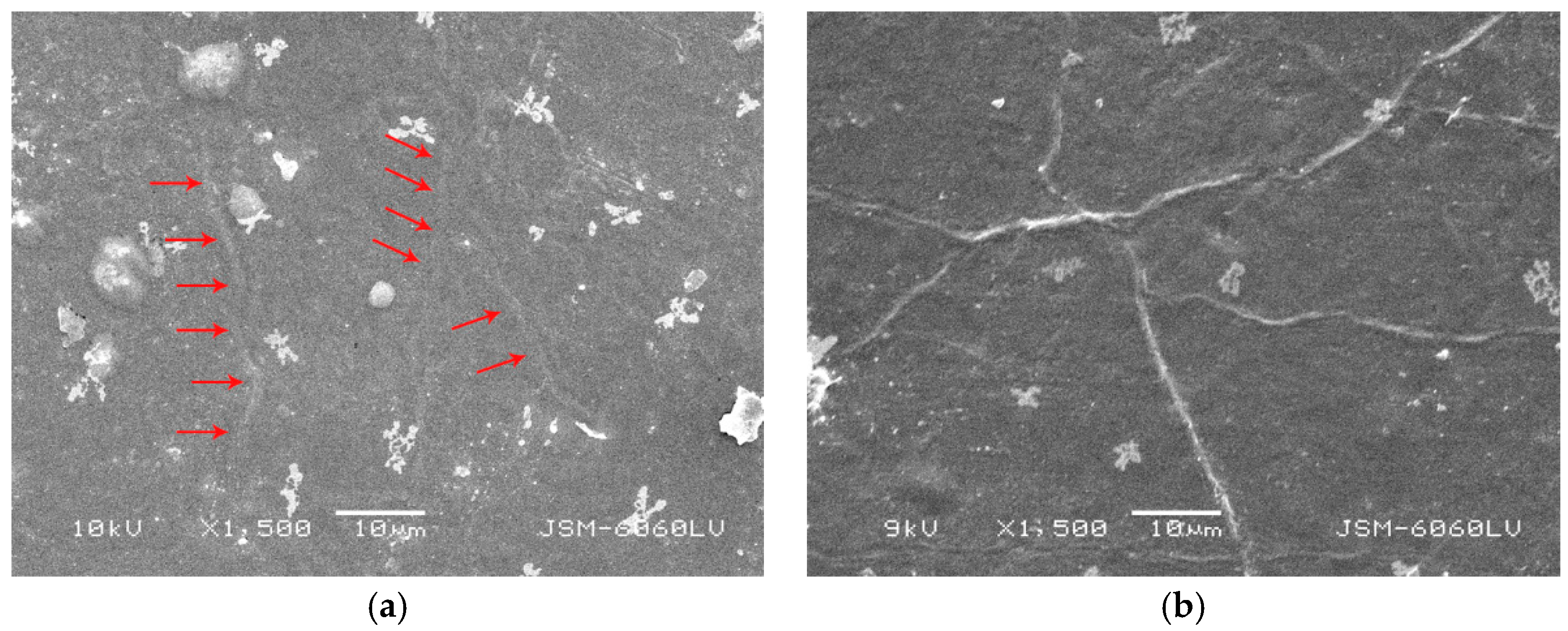 Coatings 10 00136 g013