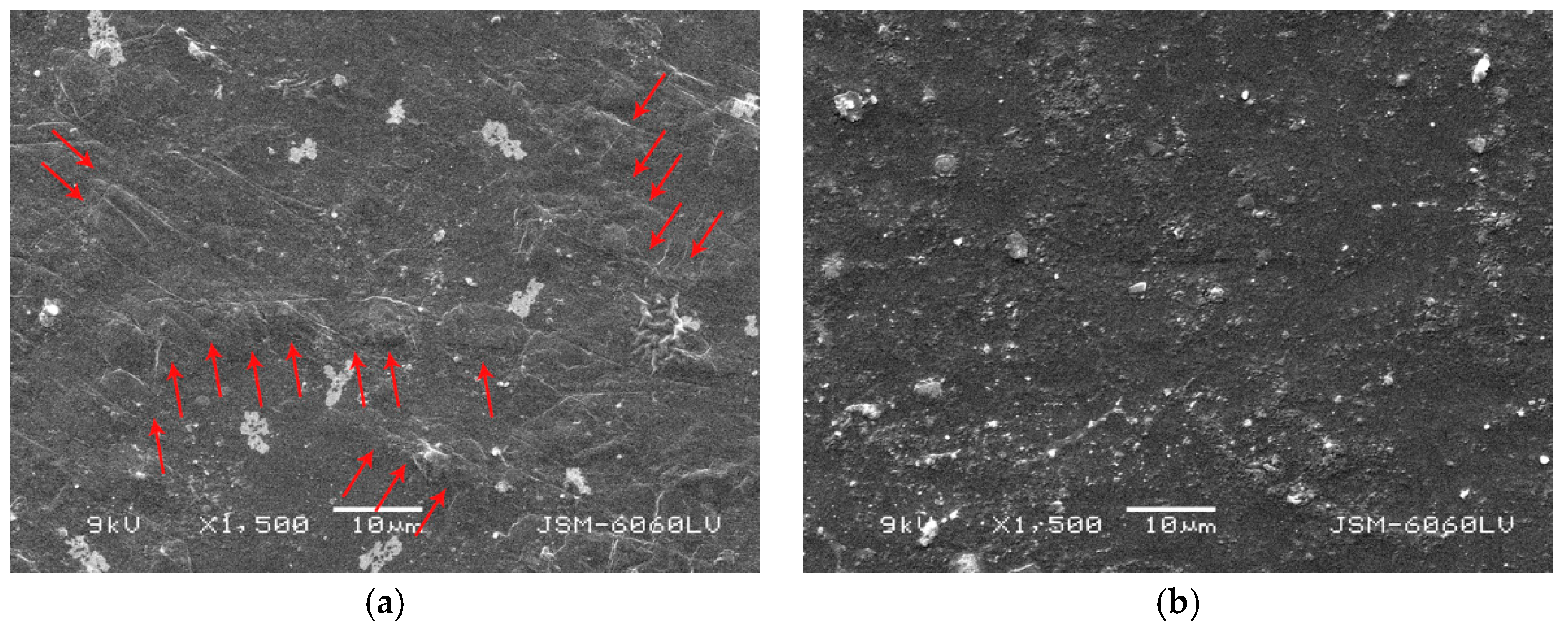 Coatings 10 00136 g014