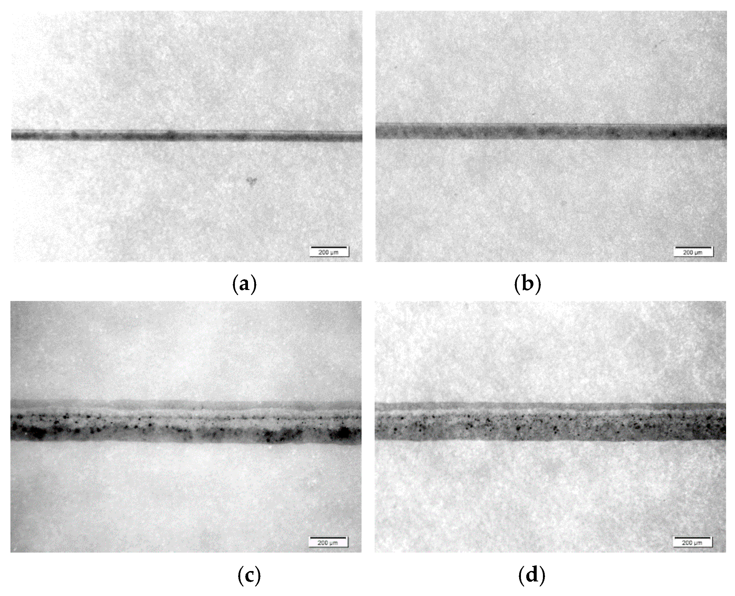 Coatings 10 00136 g021
