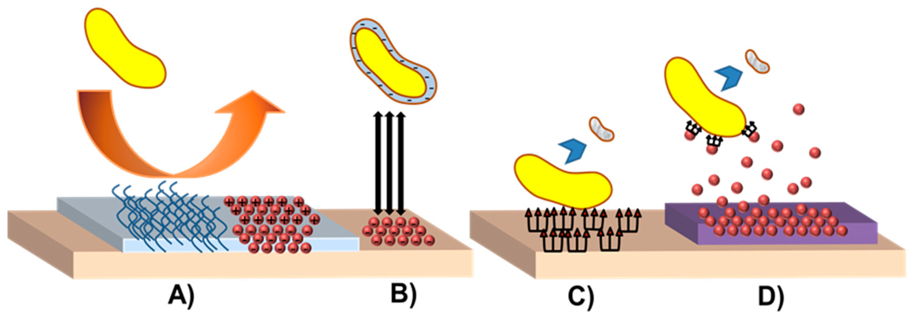 Coatings 10 00139 g002