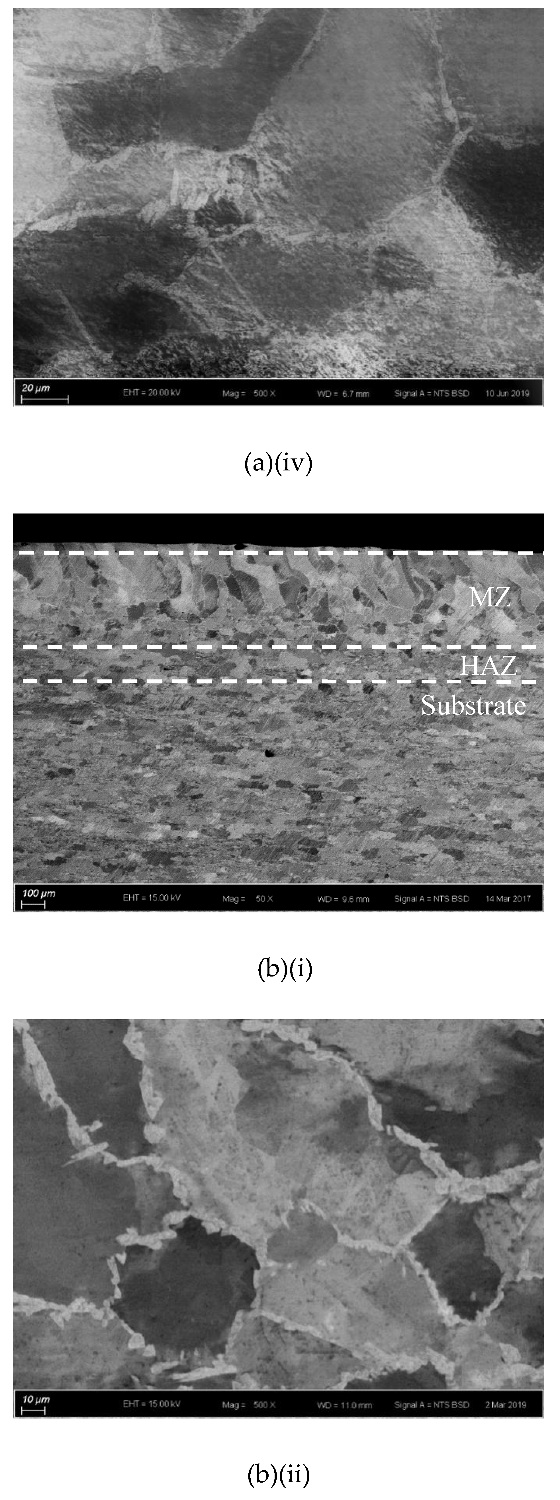 Coatings 10 00140 g002b