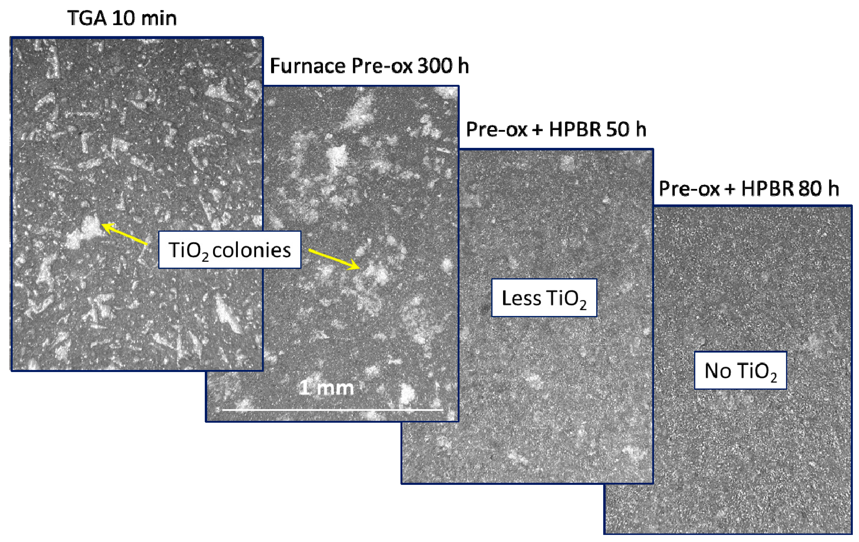 Coatings 10 00142 g004 Coatings 10 00142 g004