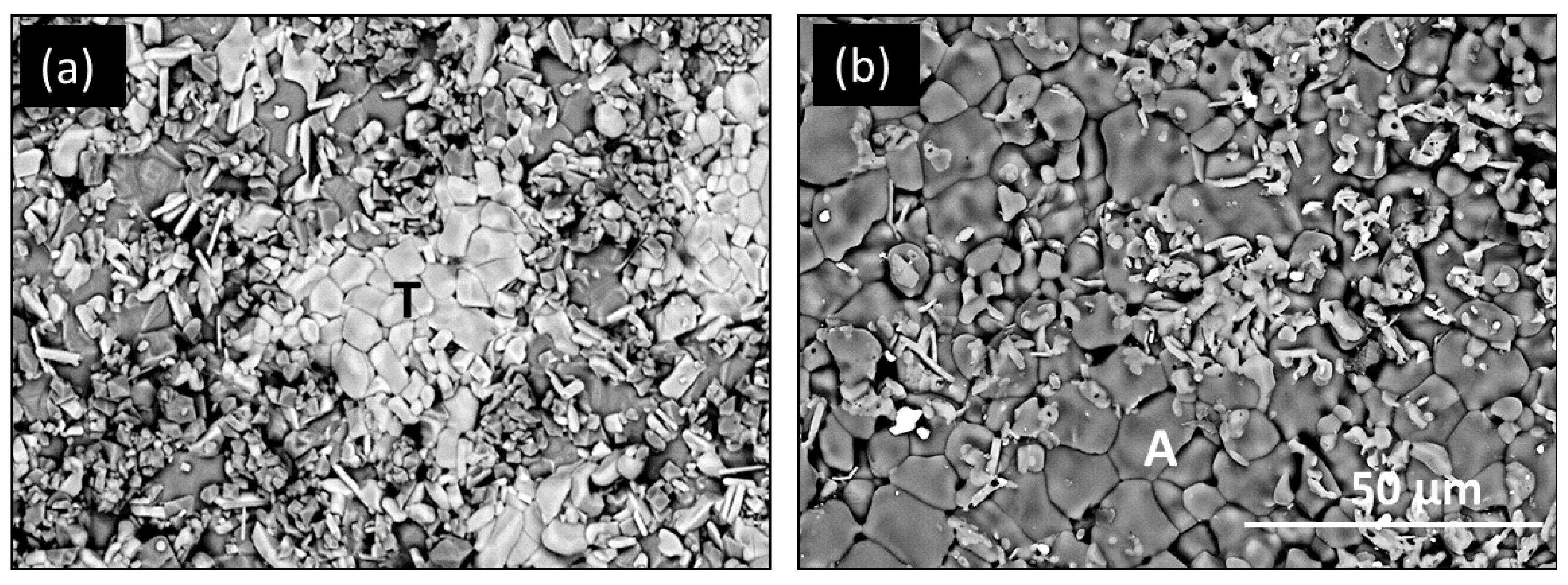 Coatings 10 00142 g005 Coatings 10 00142 g005